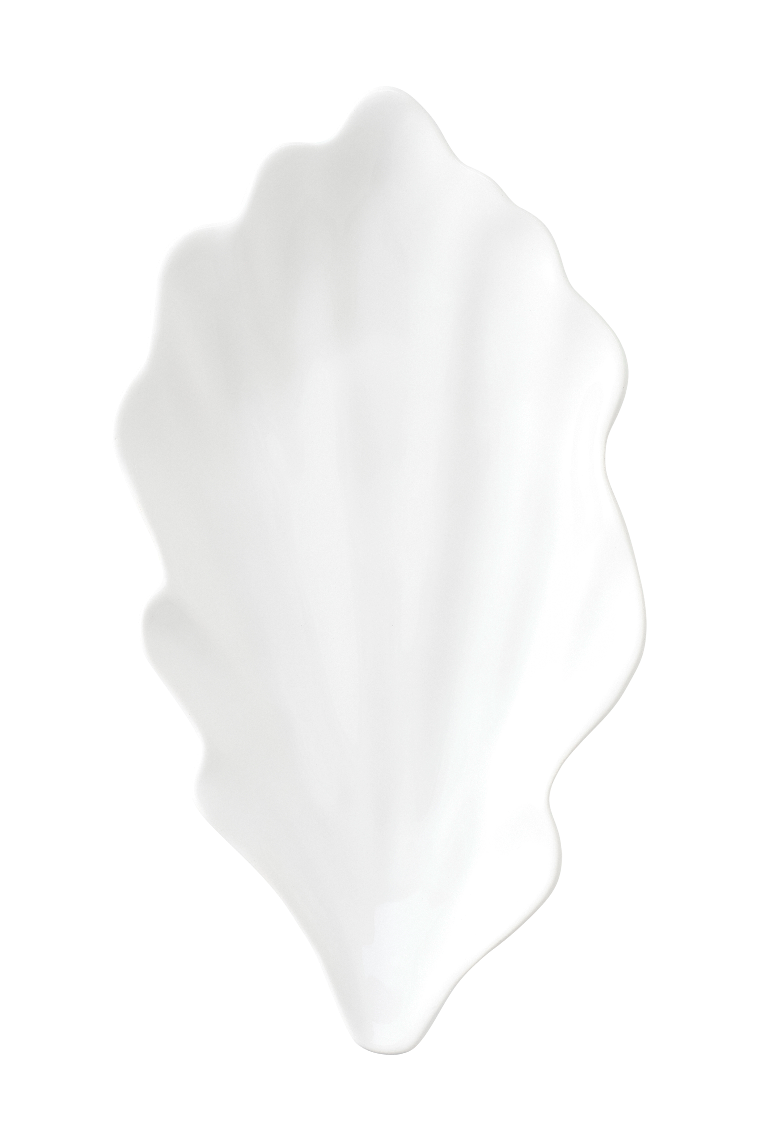 Tallerken Sea Shell