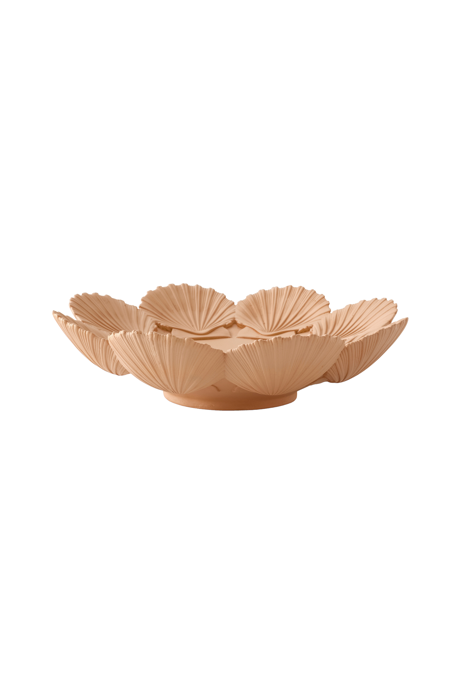 Skål Scallop Shelly