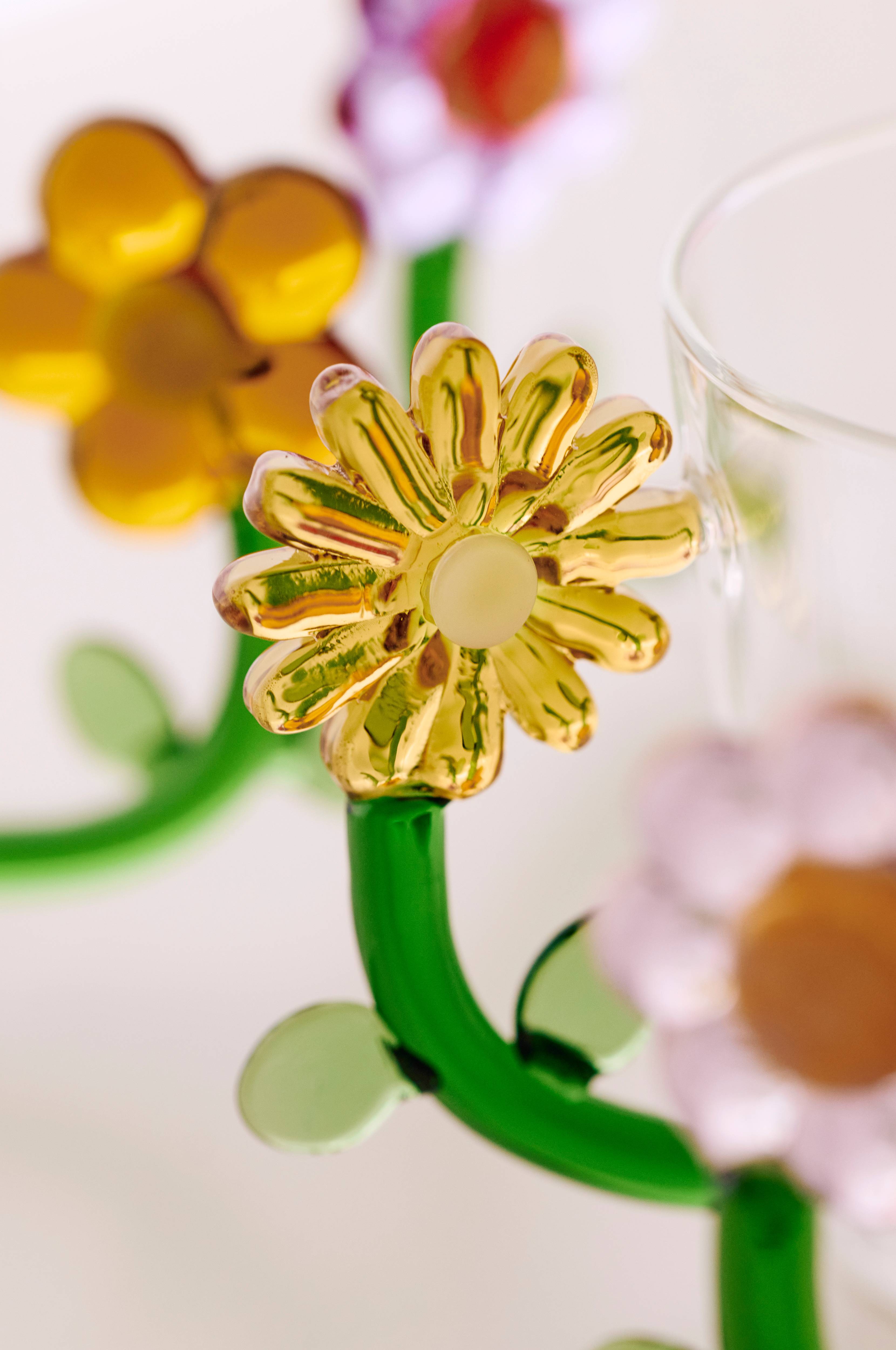 Krus av glass Daisy 4-pakning
