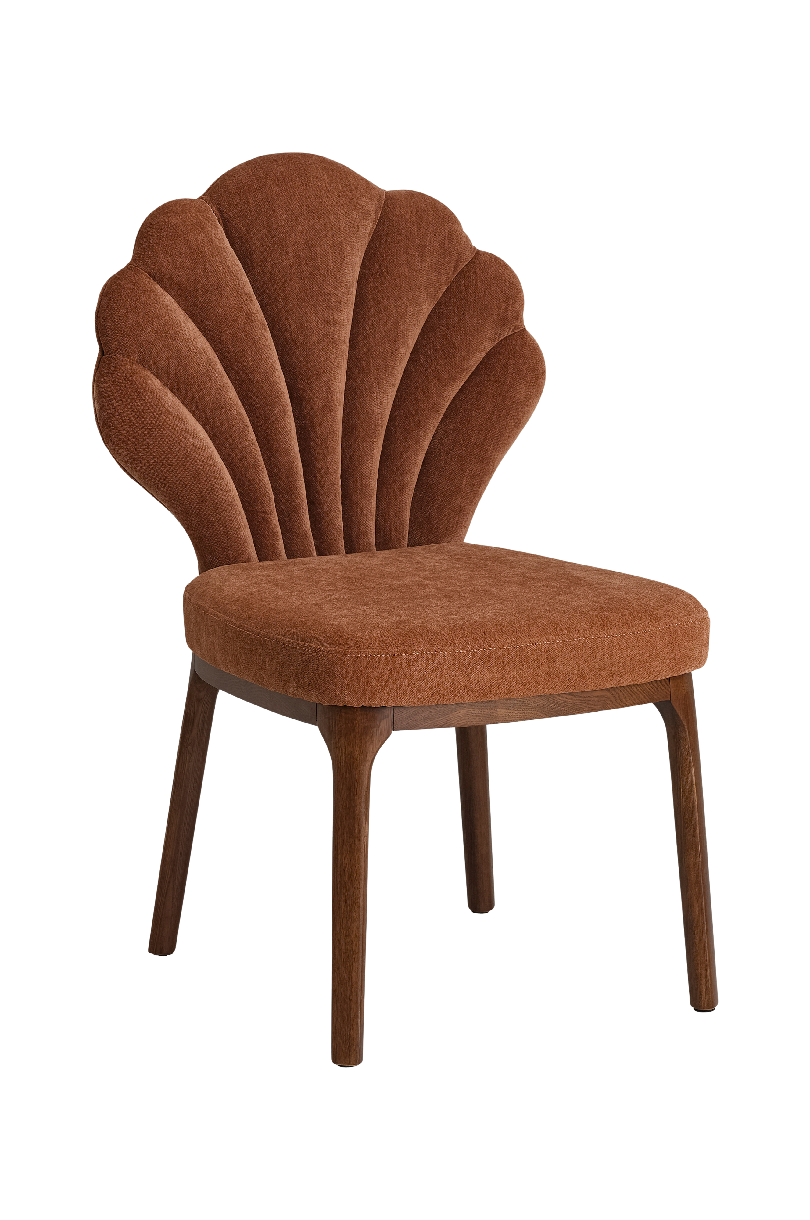 Stol Seashell