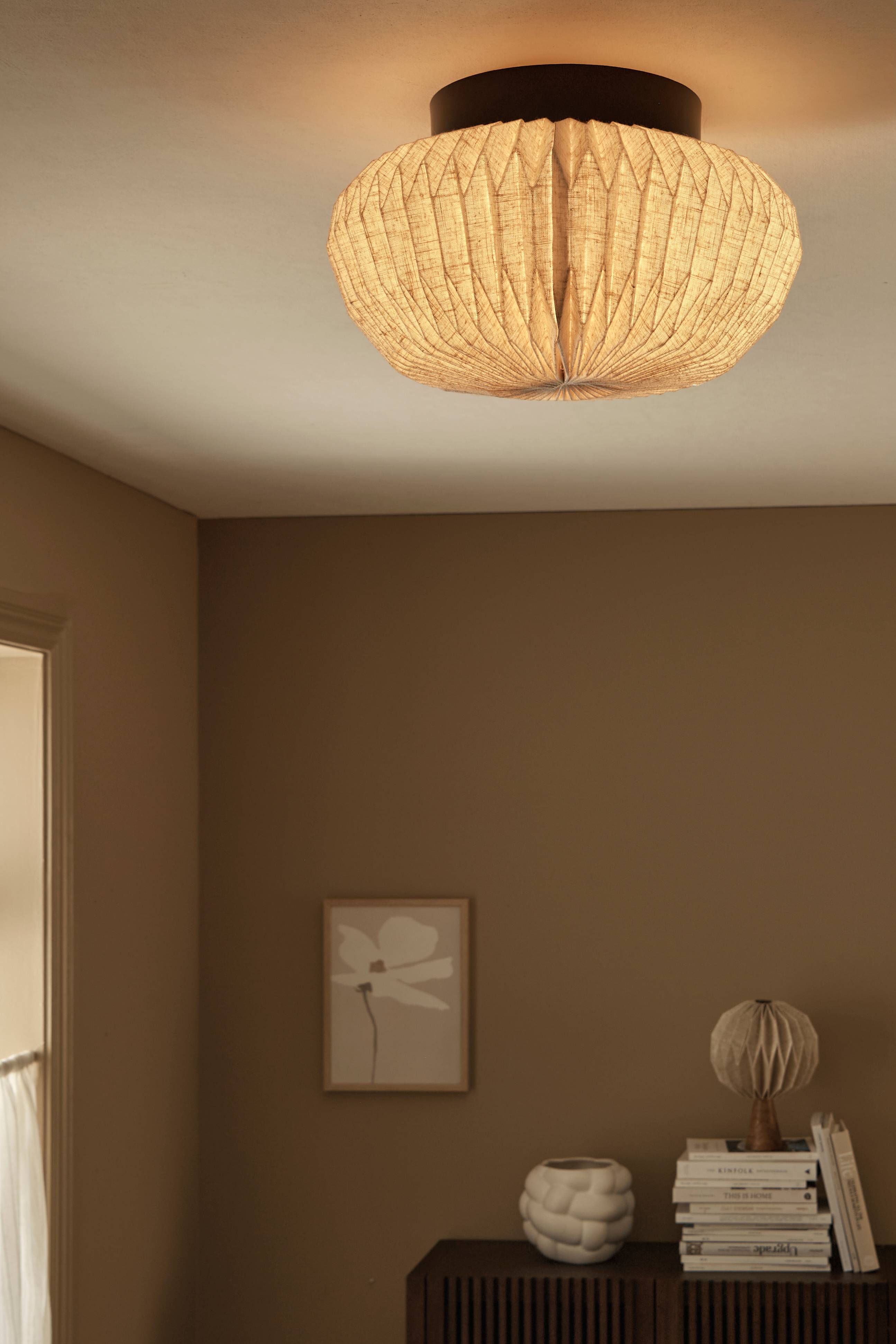 Plafond Dagny