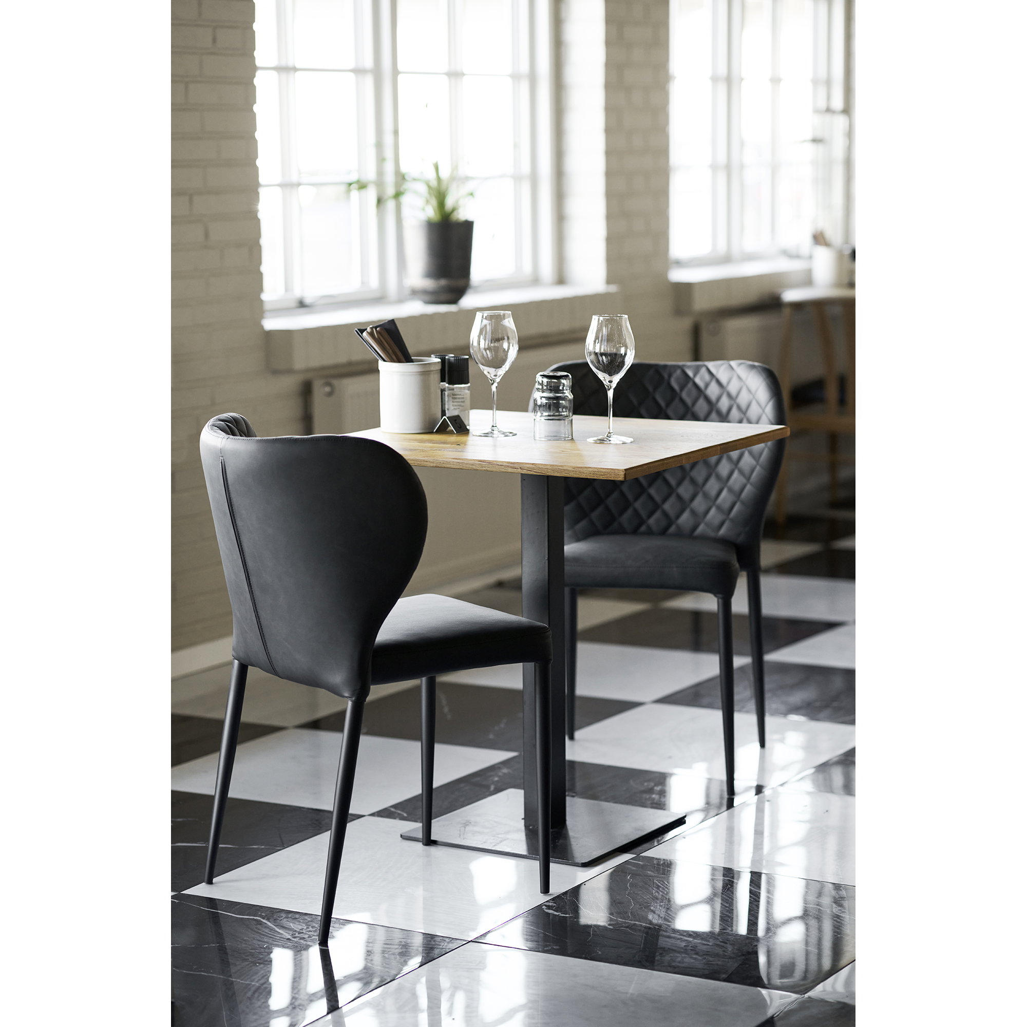 Pisa Dining Chair