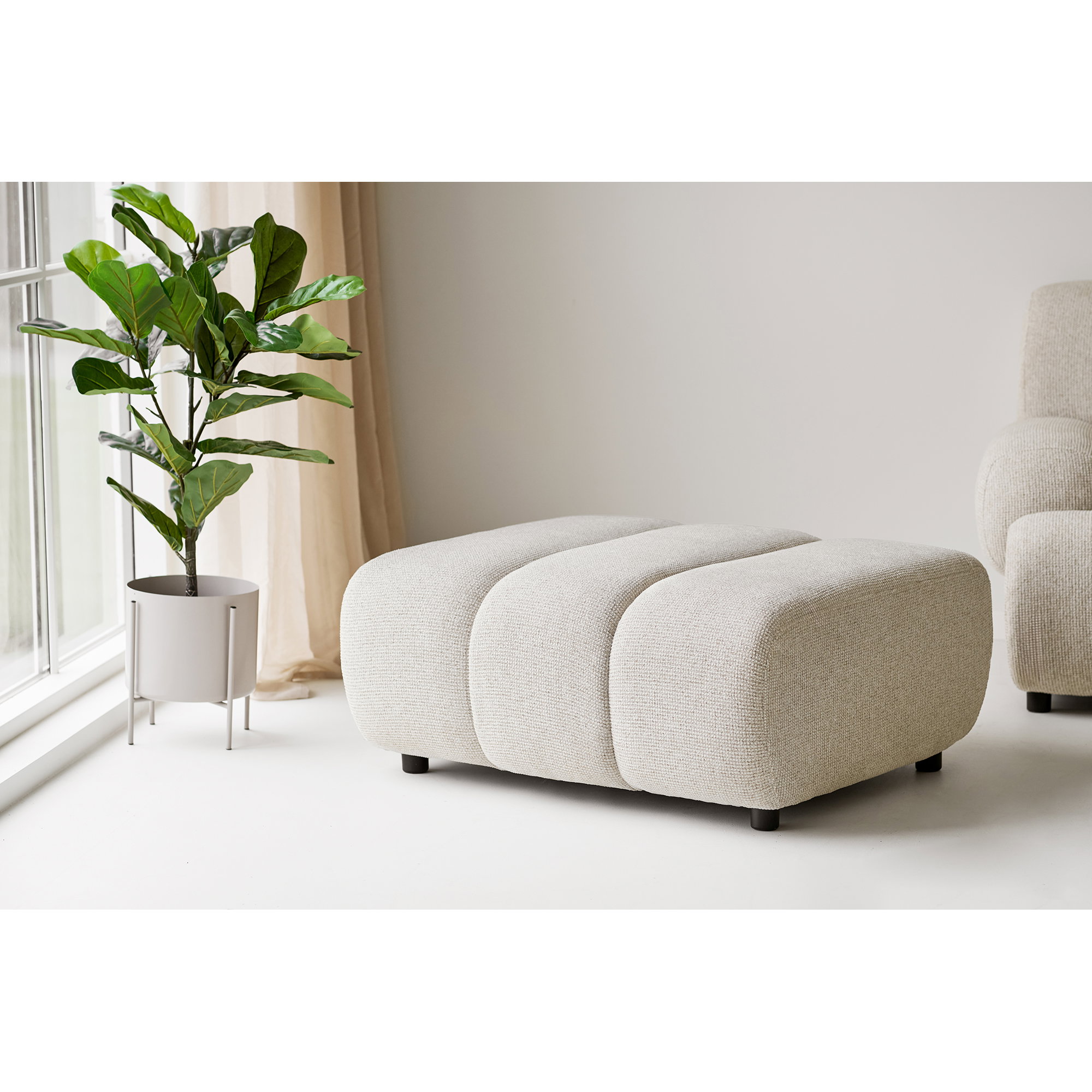 Taza Pouf Module