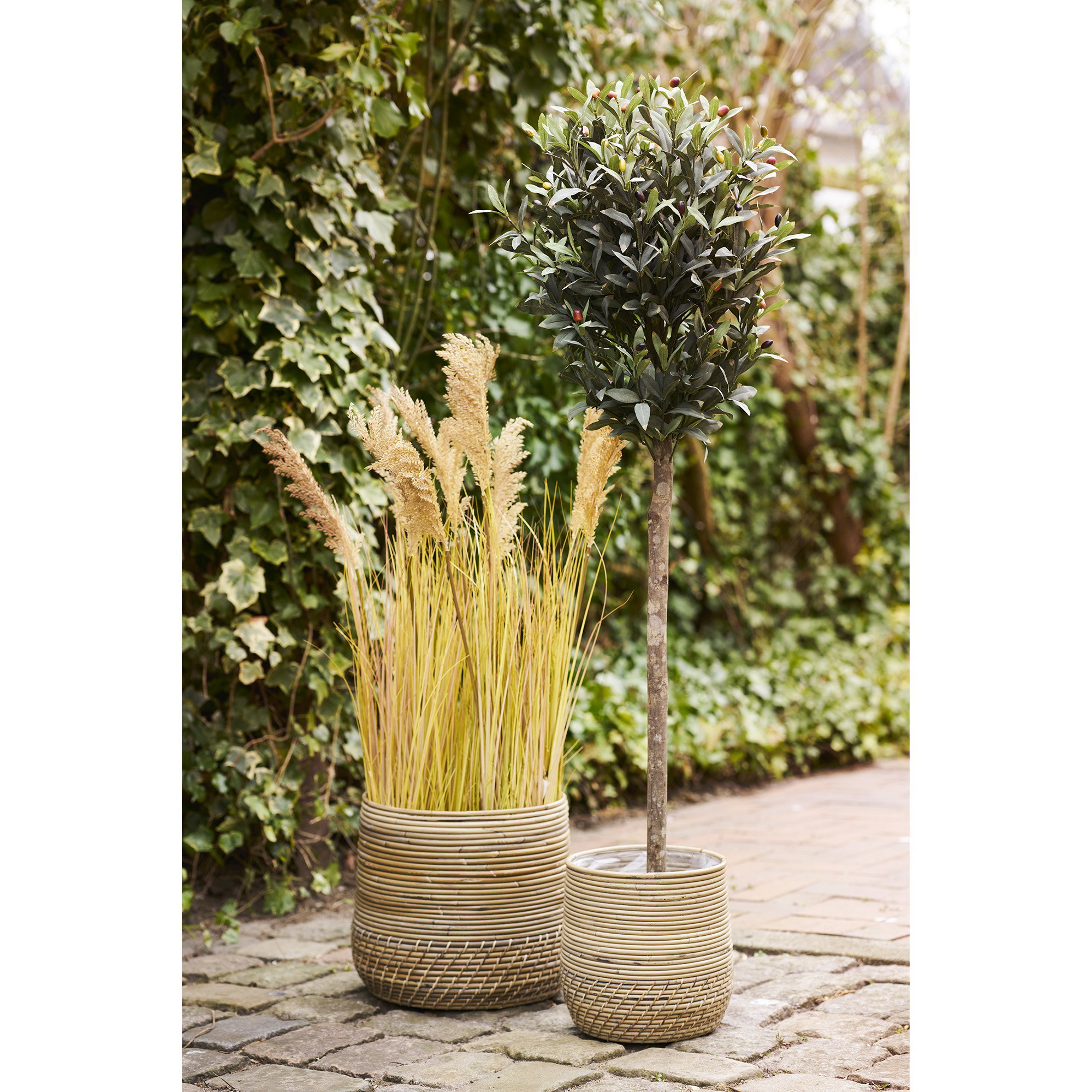 Moro Baskets