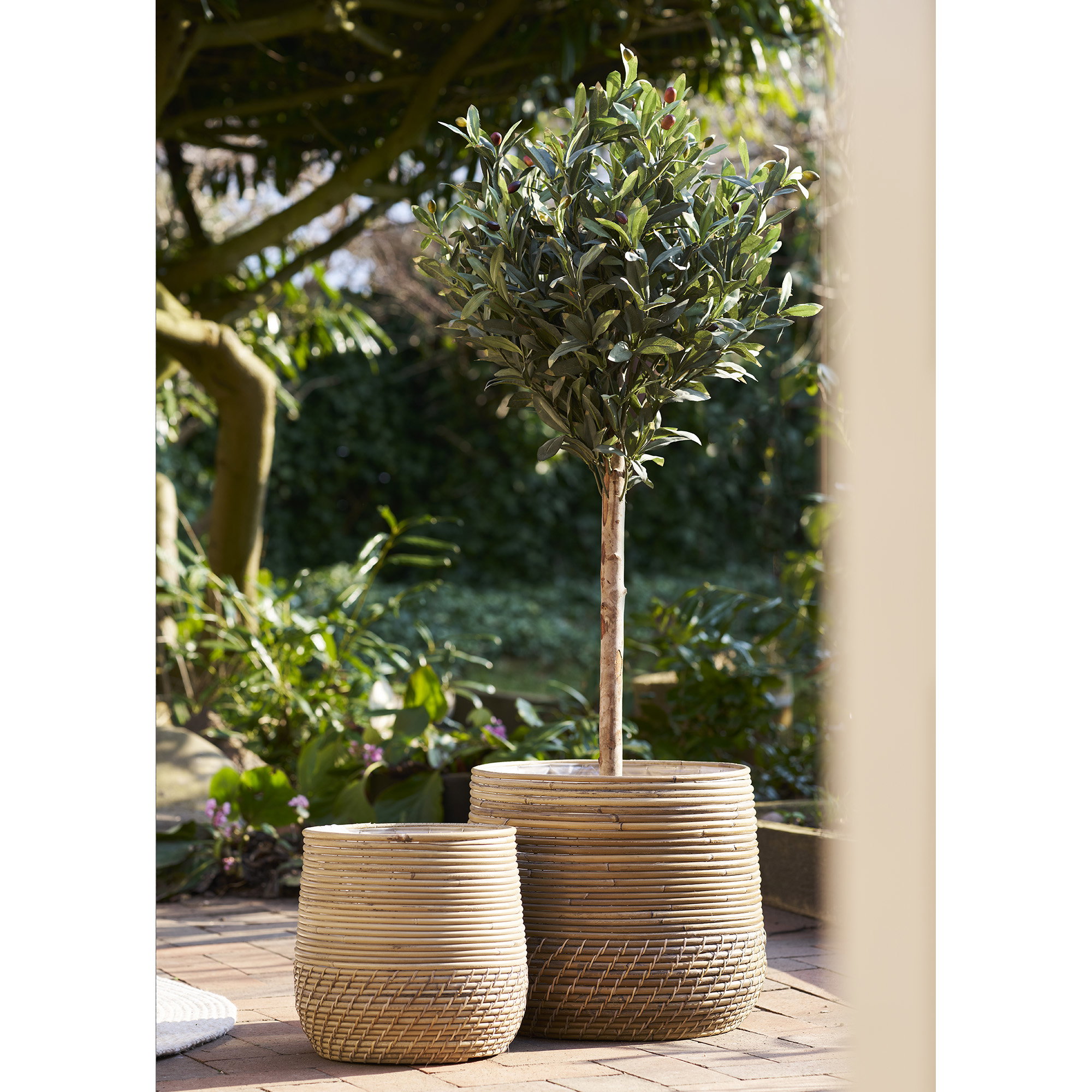 Moro Baskets