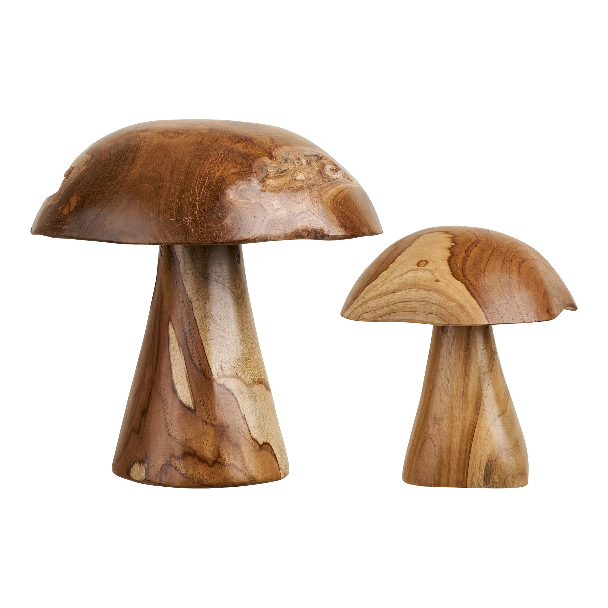 Kodi Decoration Mushrooms