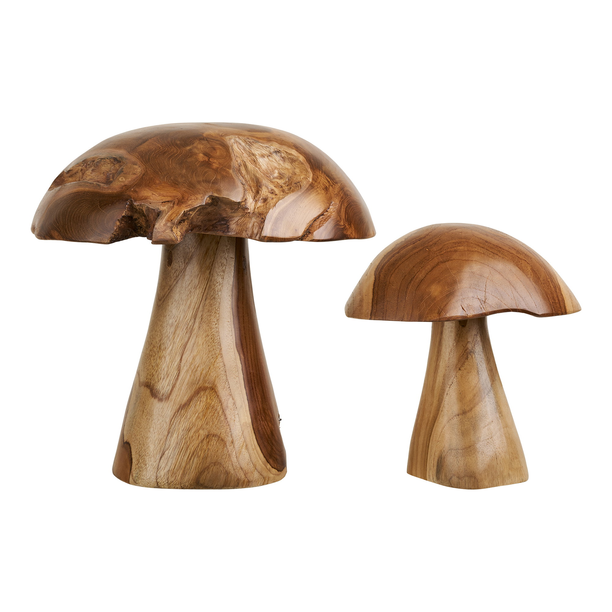 Kodi Decoration Mushrooms