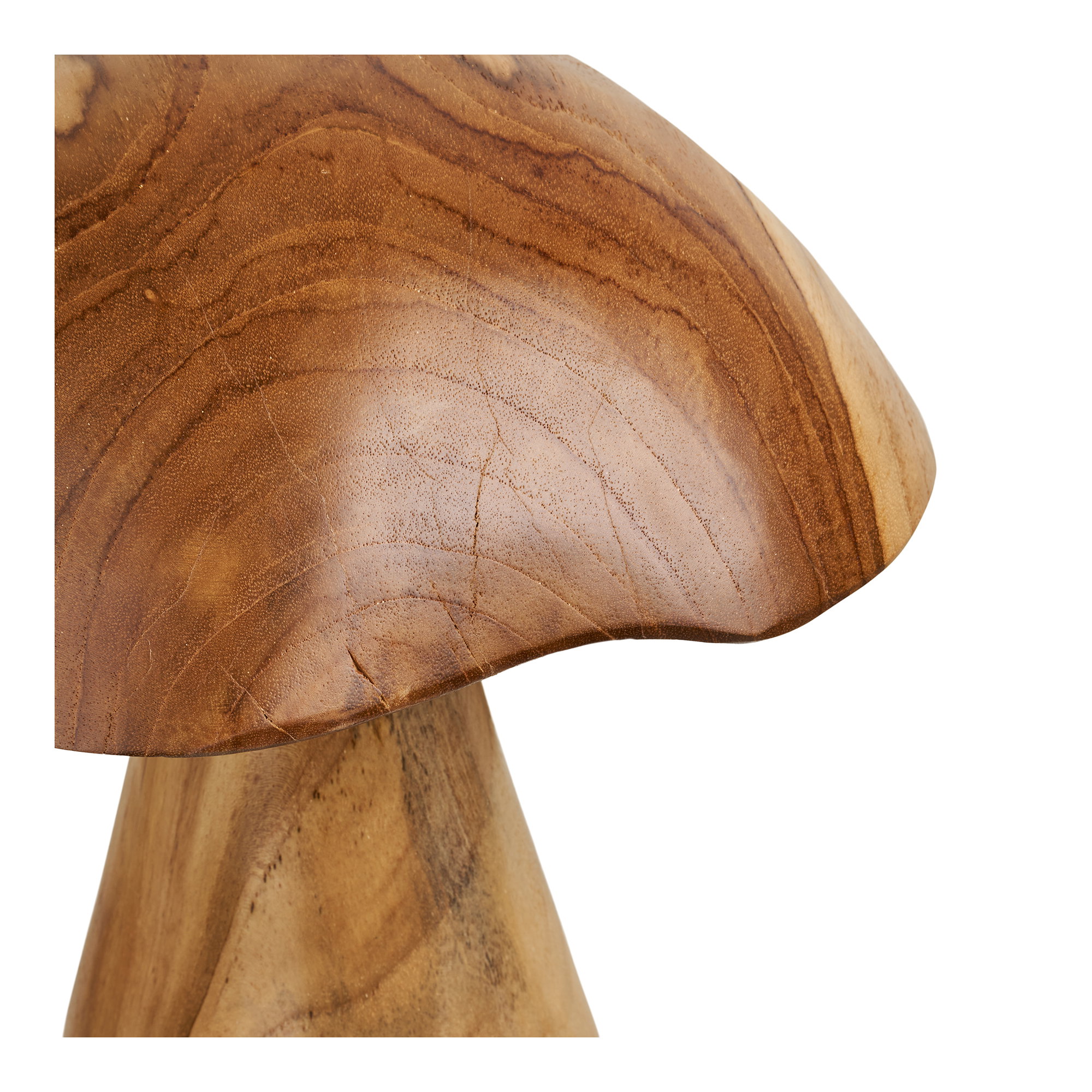 Kodi Decoration Mushrooms