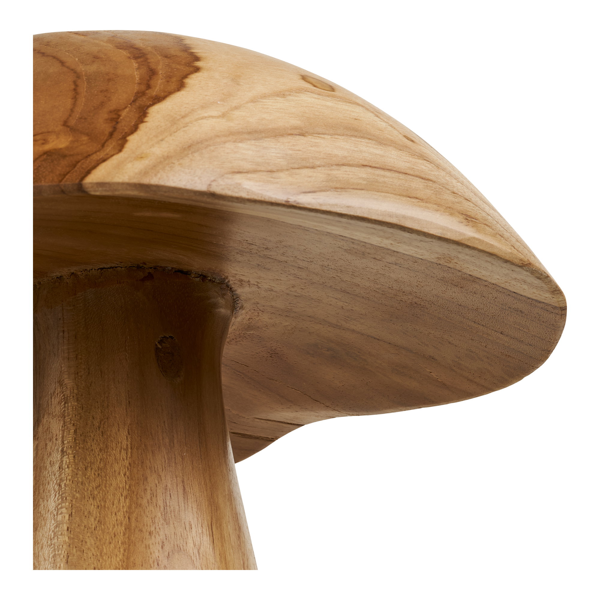 Kodi Decoration Mushrooms