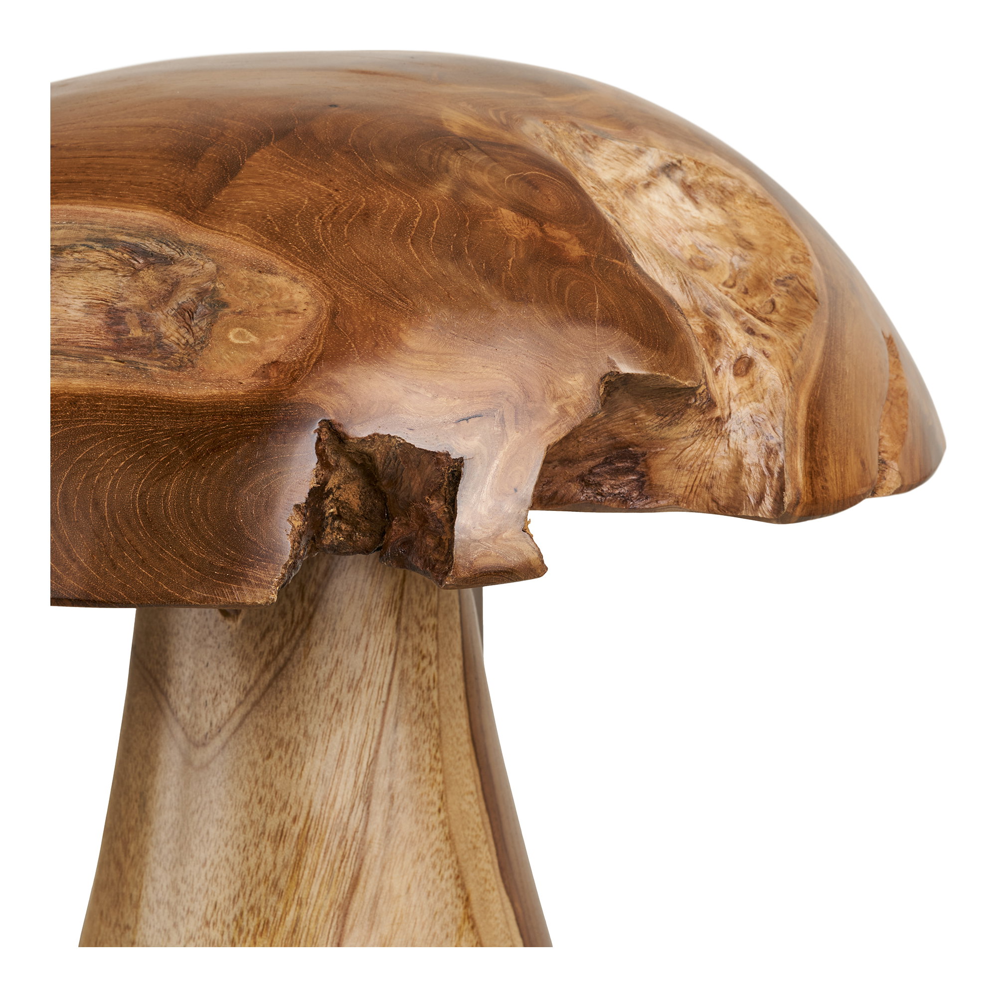 Kodi Decoration Mushrooms
