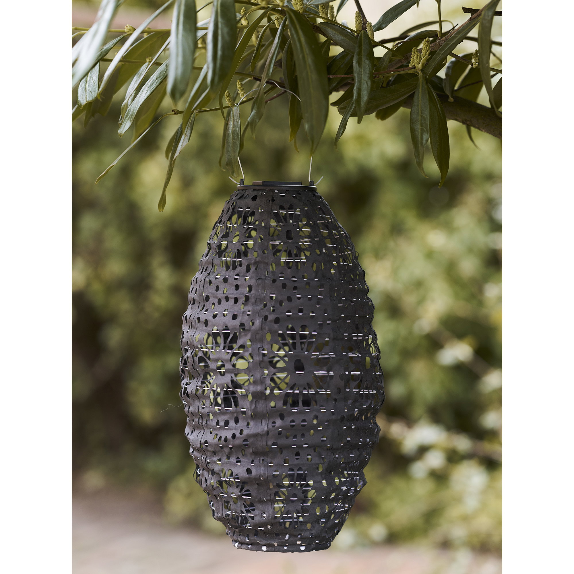 Foxdale LED Lantern