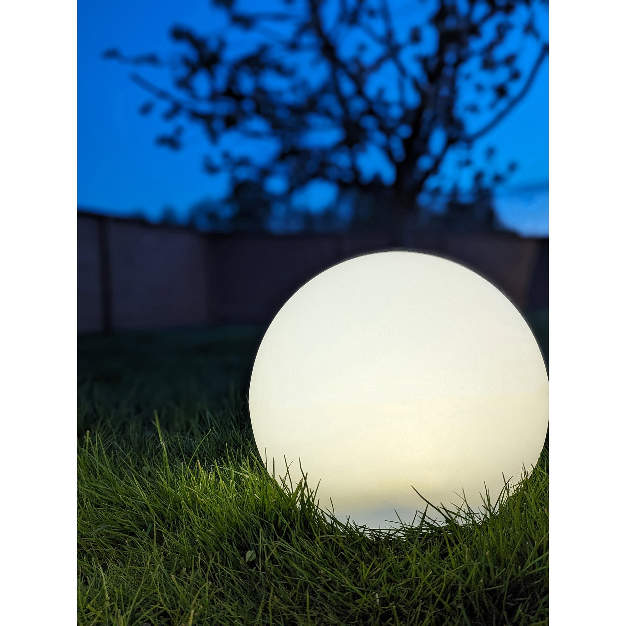 Lifton LED Lamp