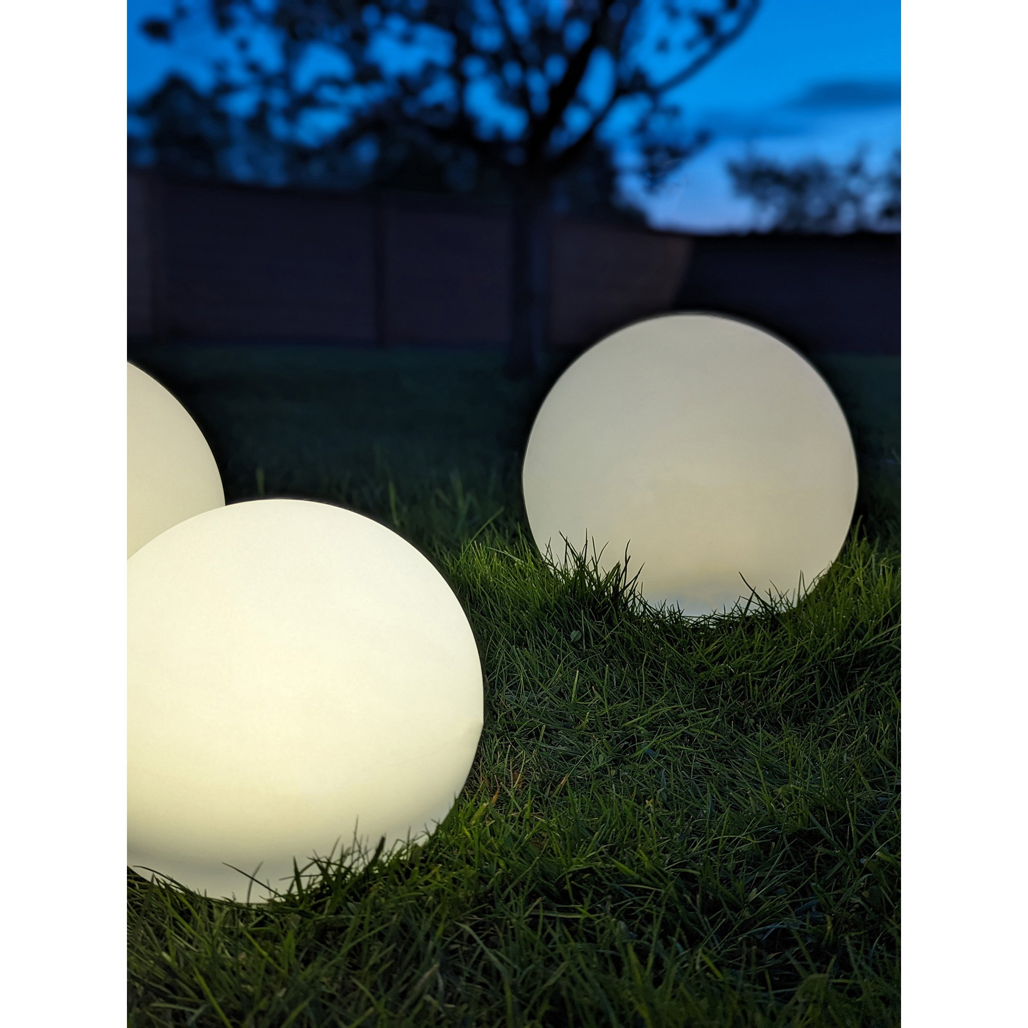 Lifton LED Lamp