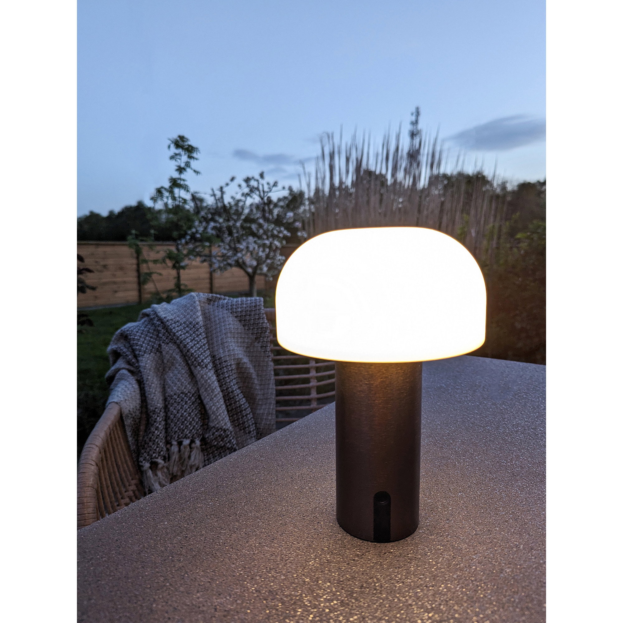 Soham LED Lamp