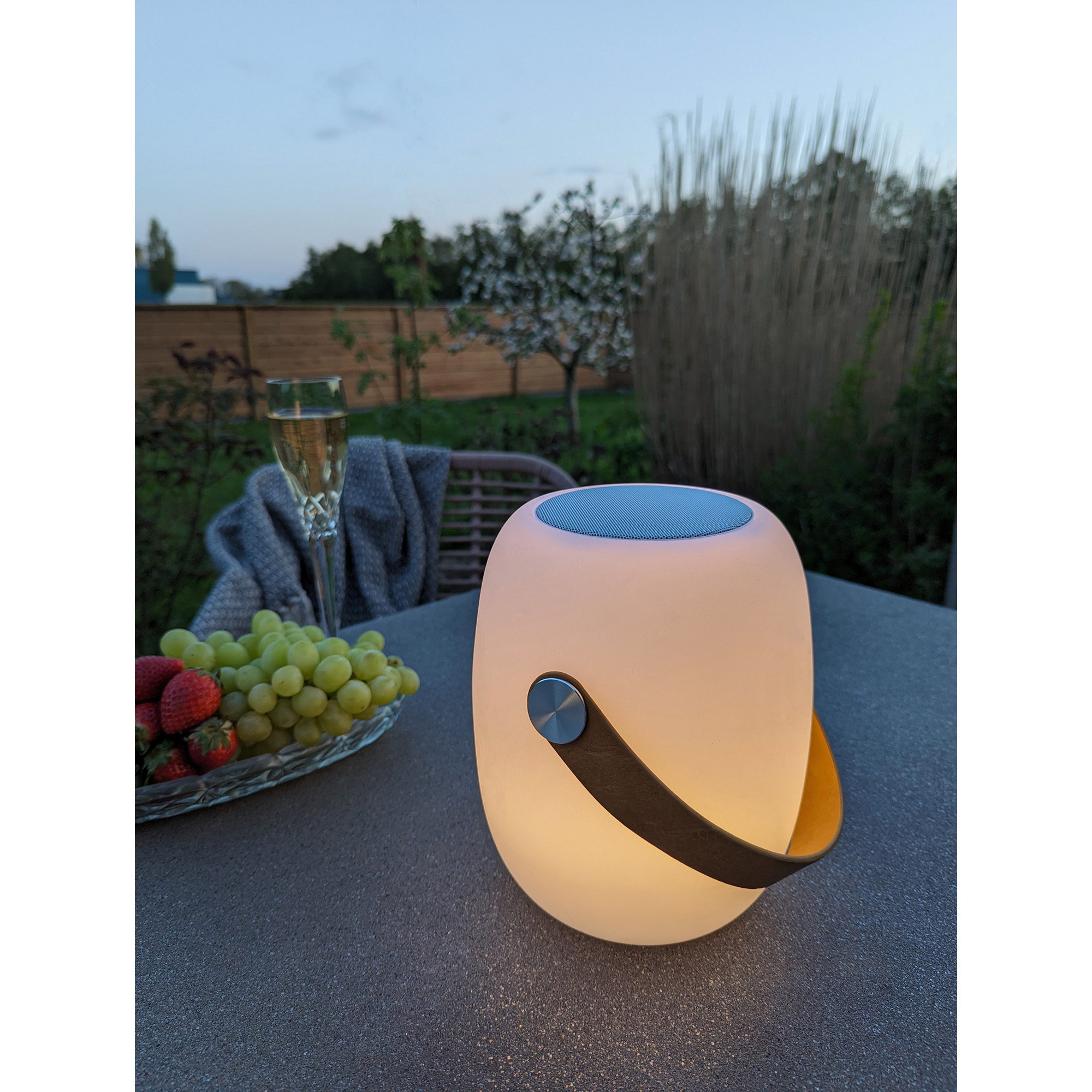 Cardiff LED Lamp