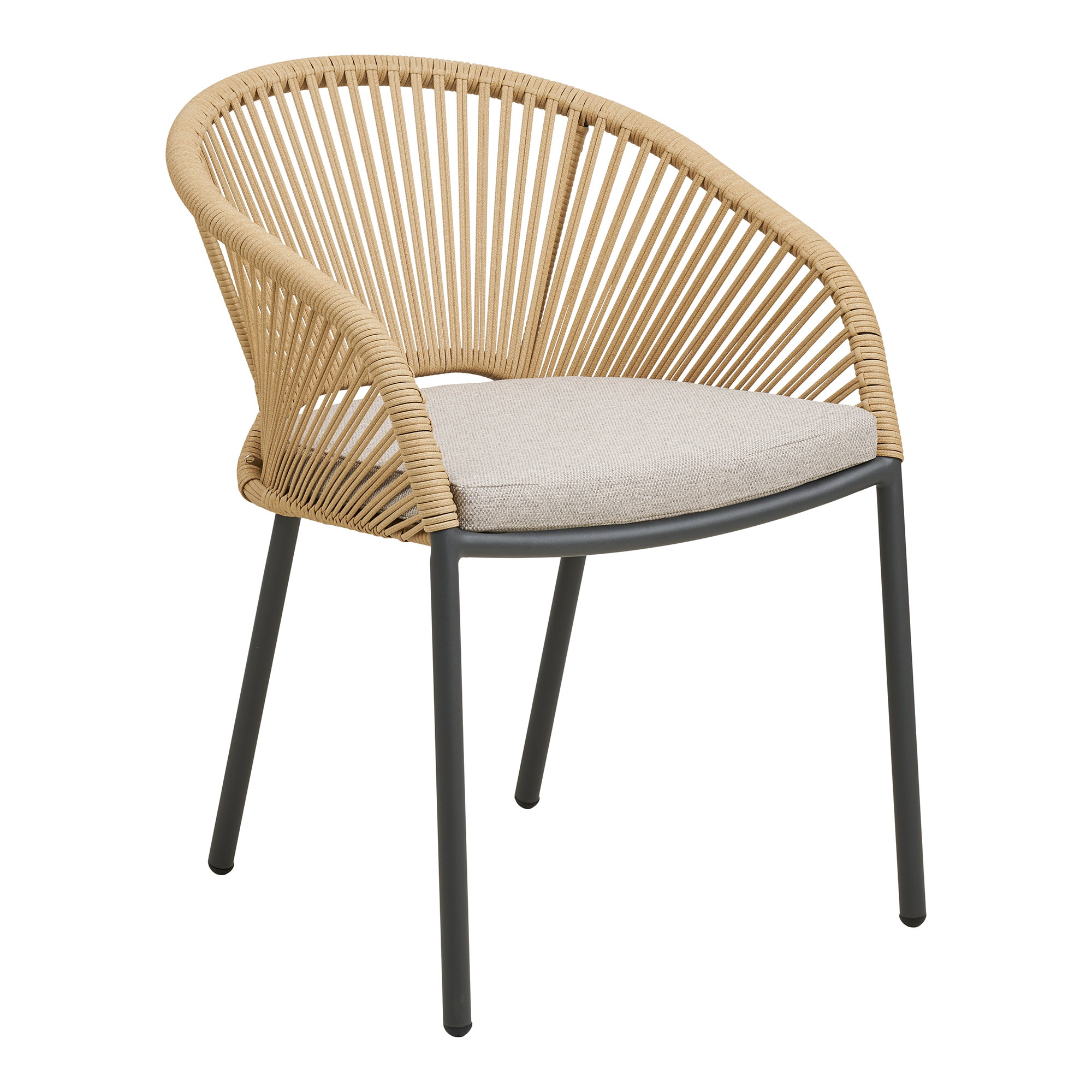 Novella Dining Chair