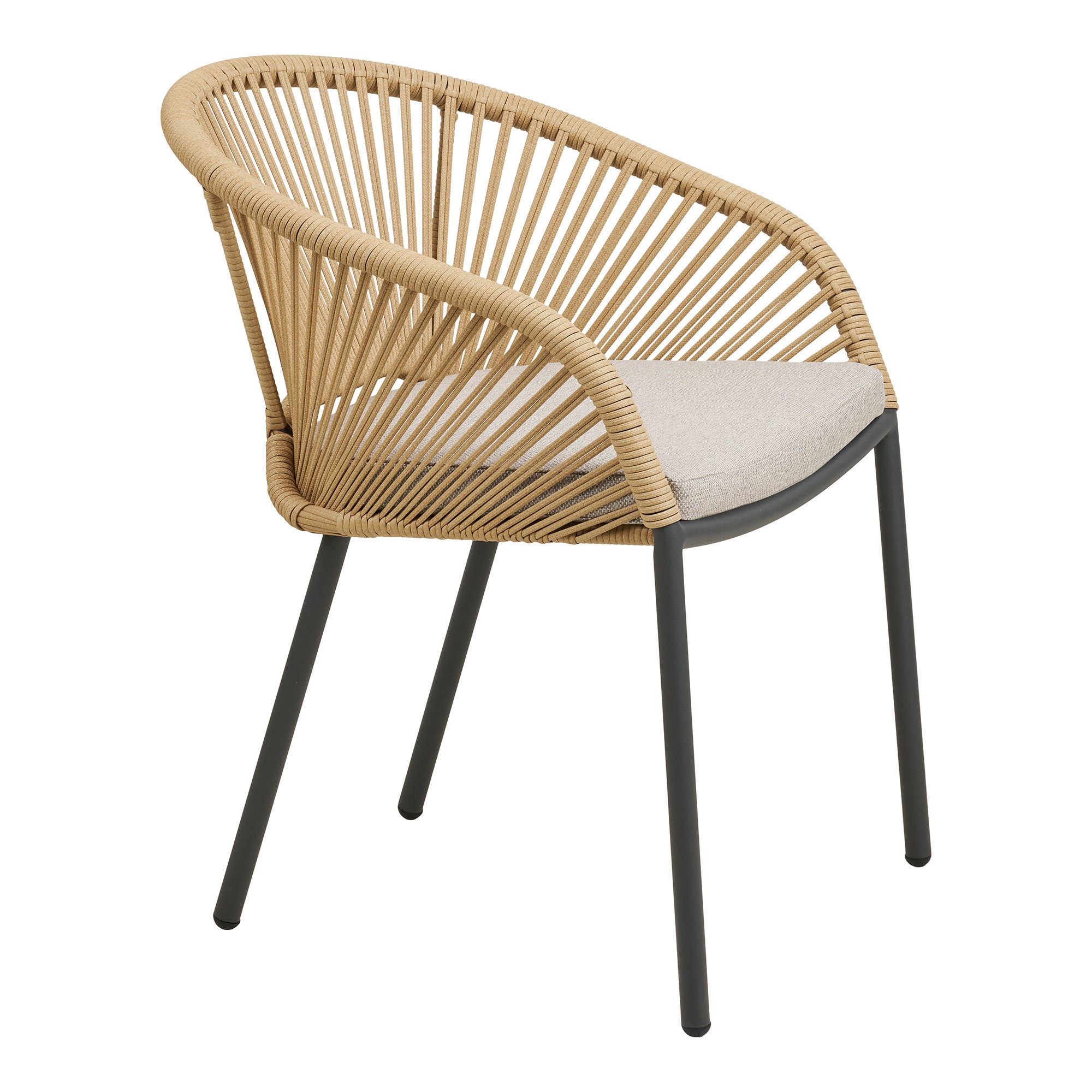 Novella Dining Chair