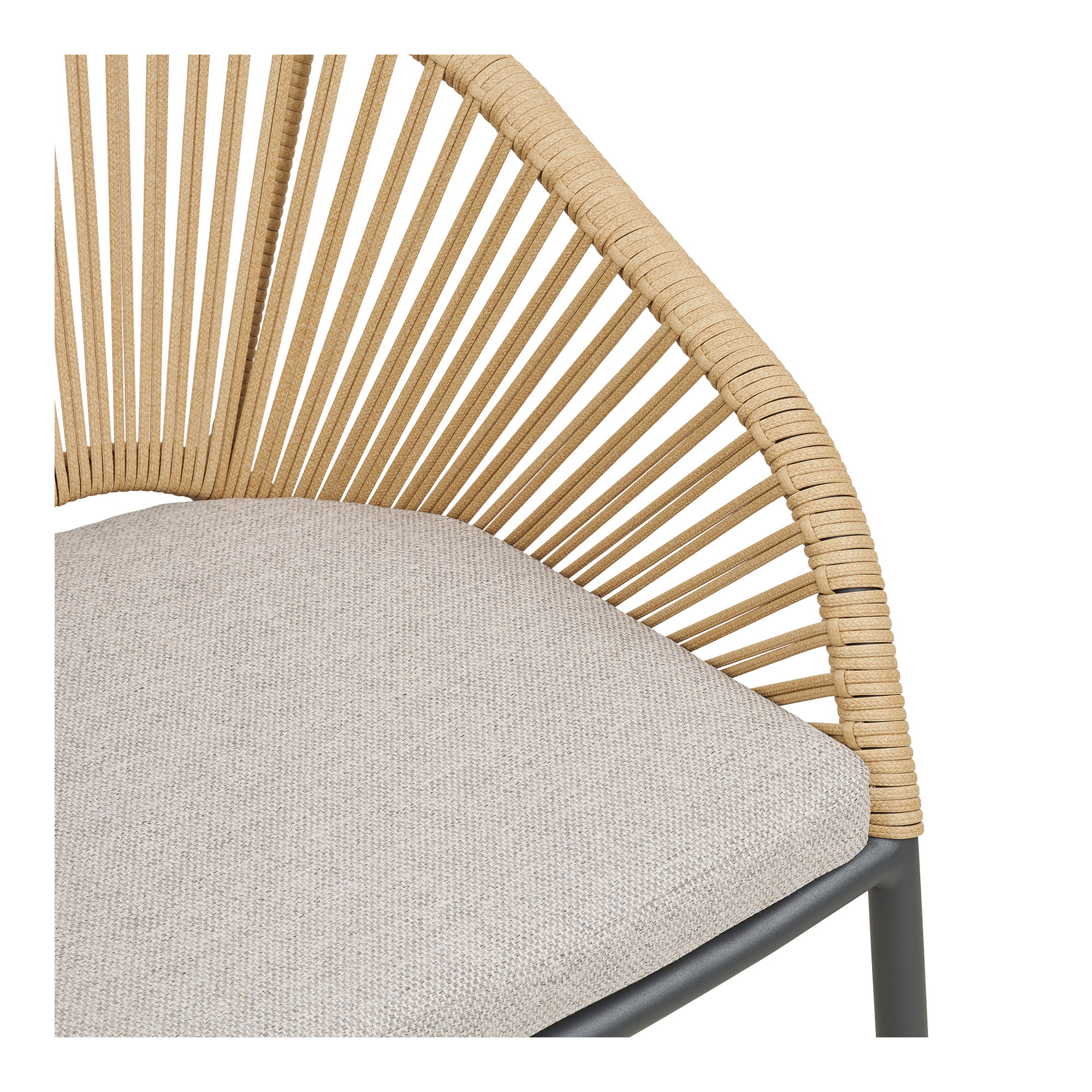 Novella Dining Chair