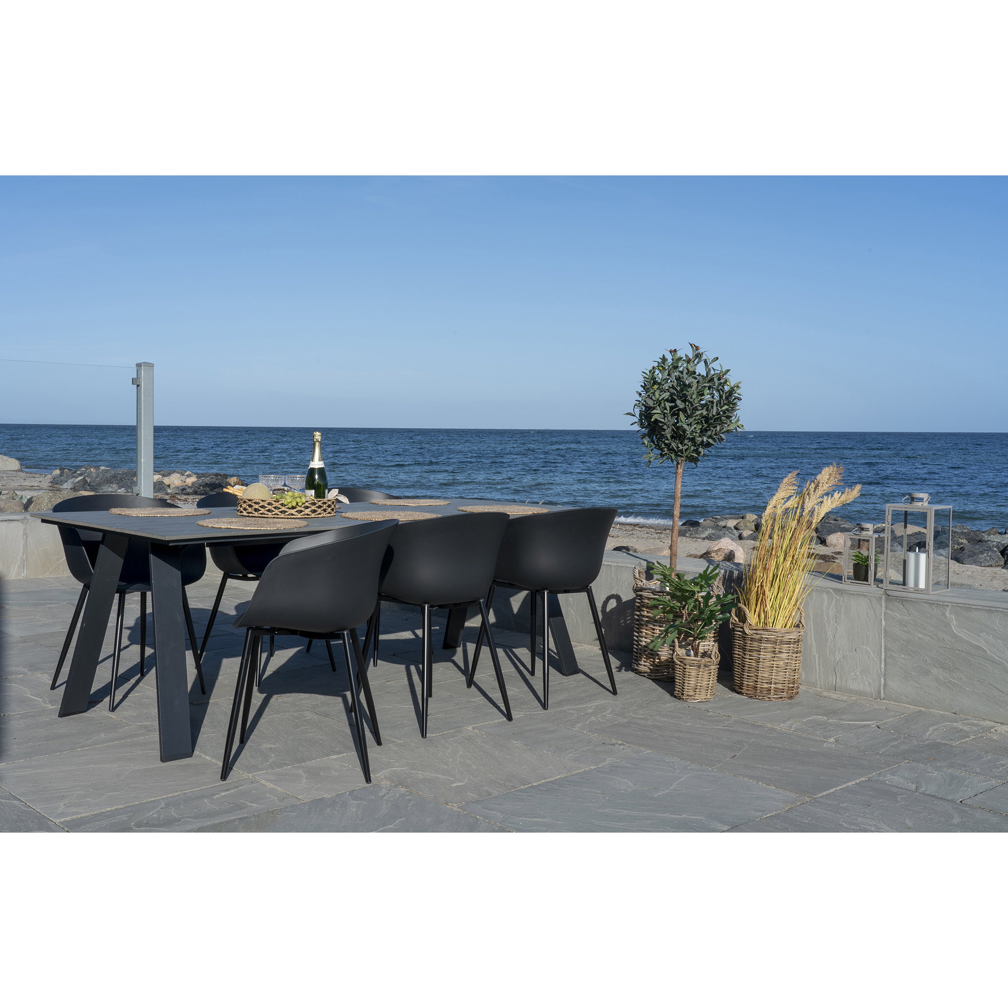 Roda Dining Chair
