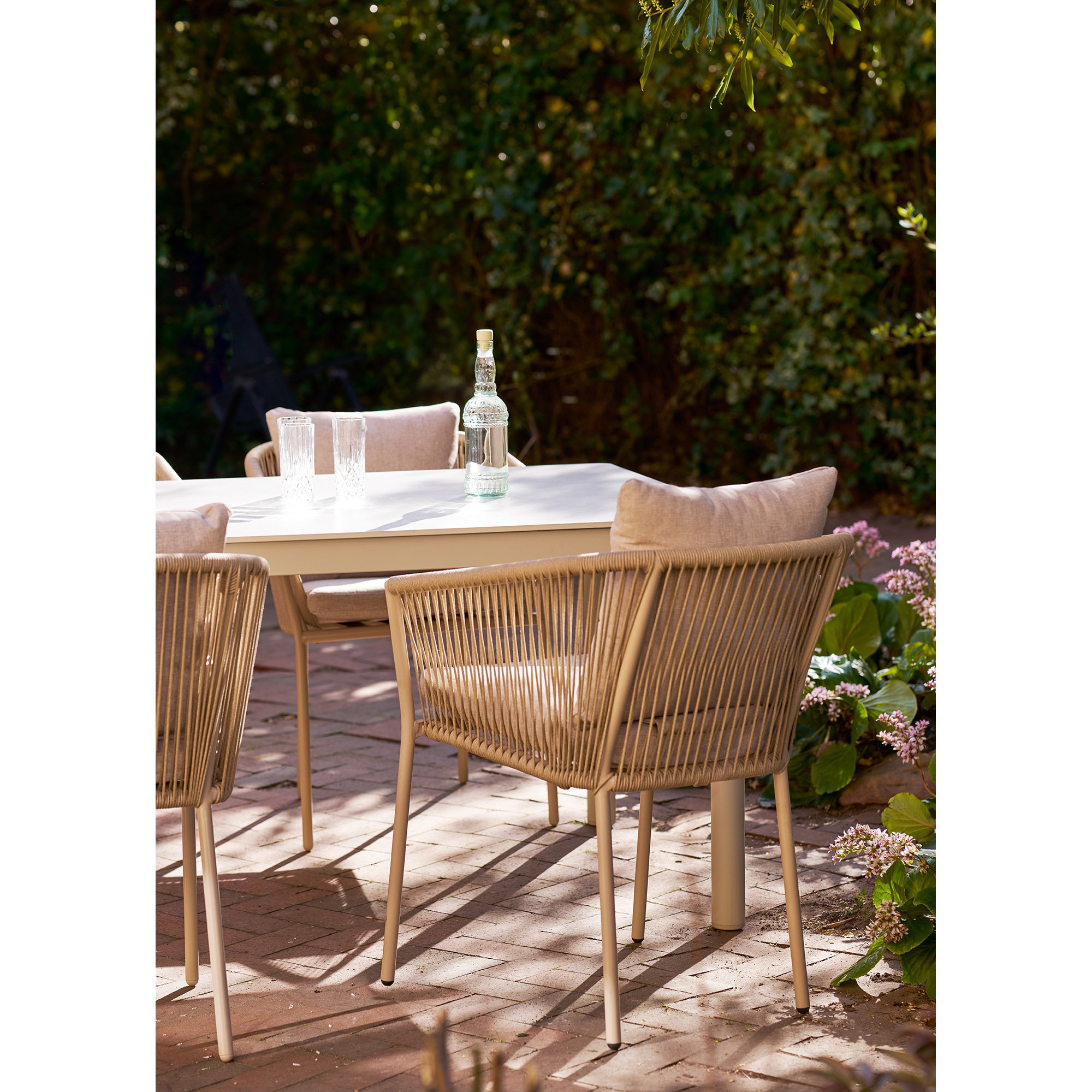 Salerno Dining Chair