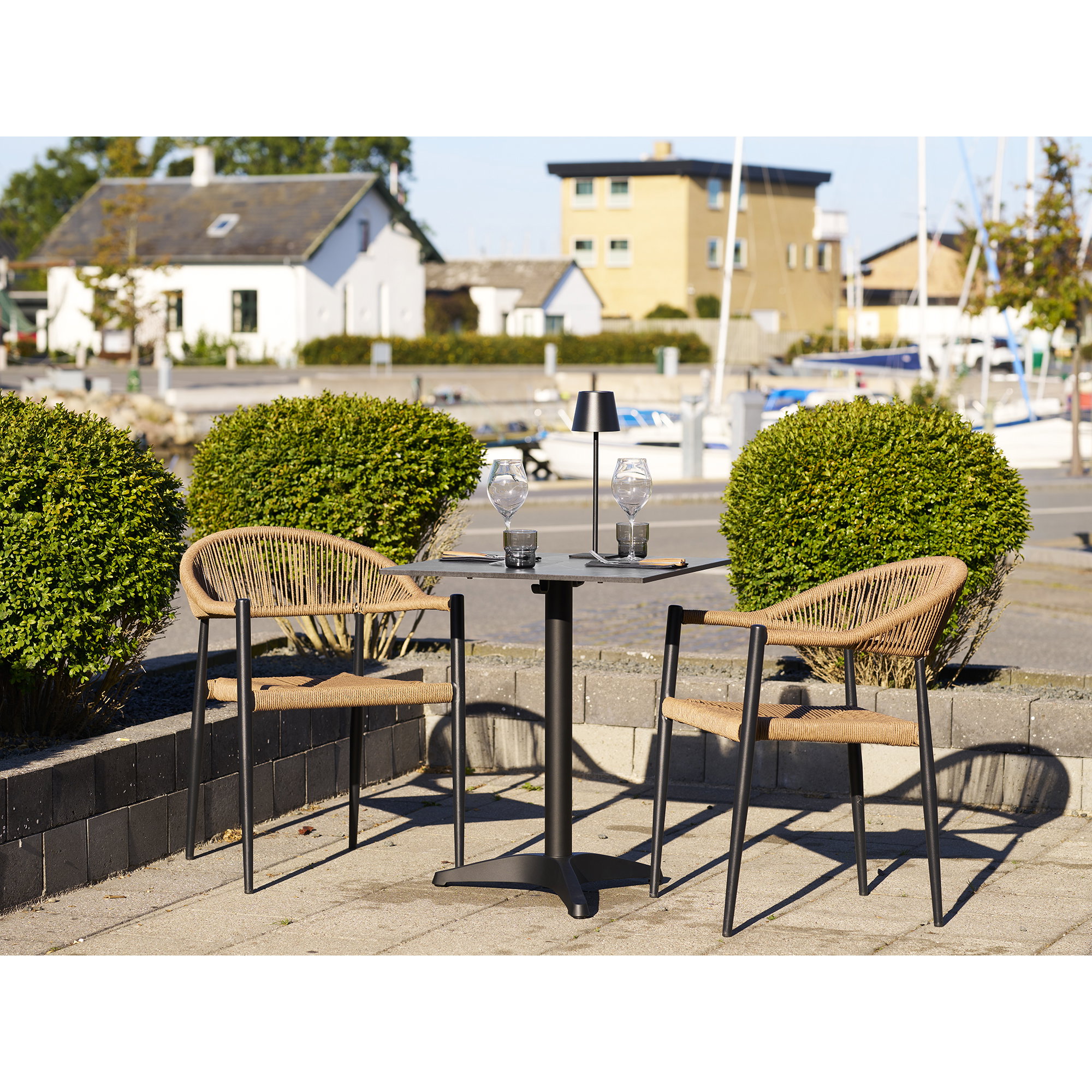 Canari Dining Chair