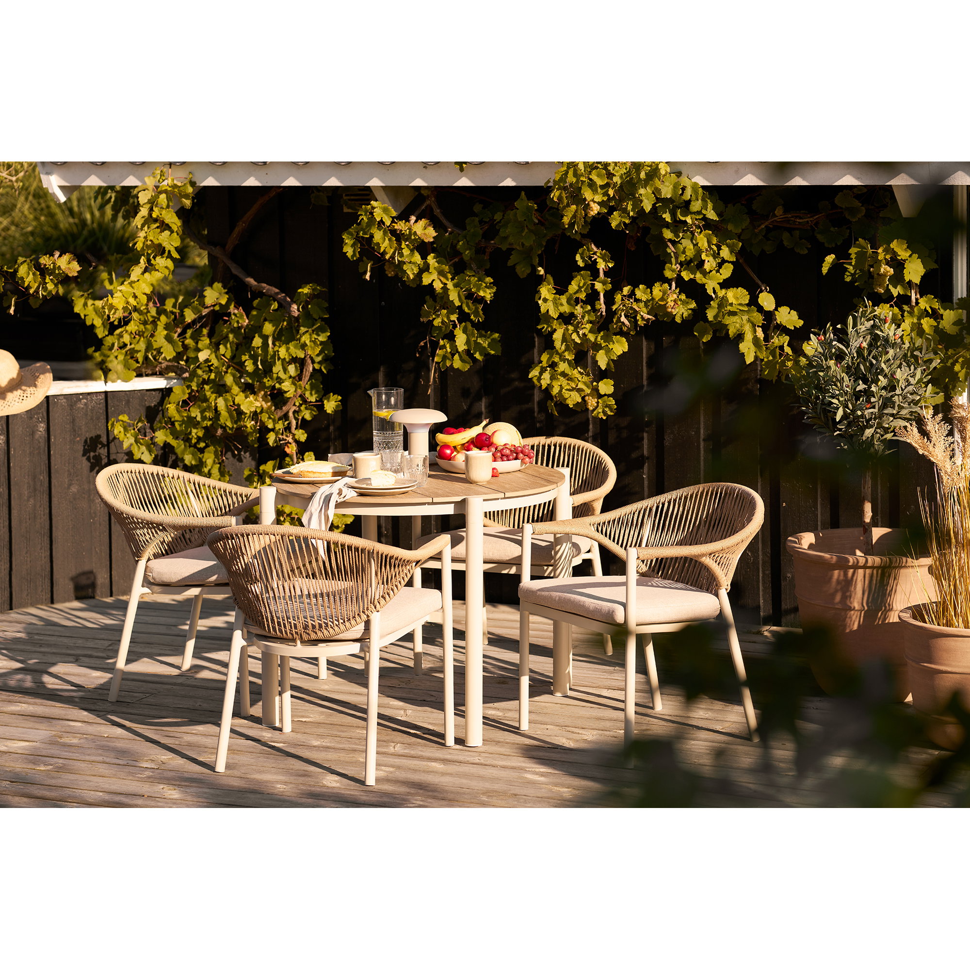 Abela Dining Chair