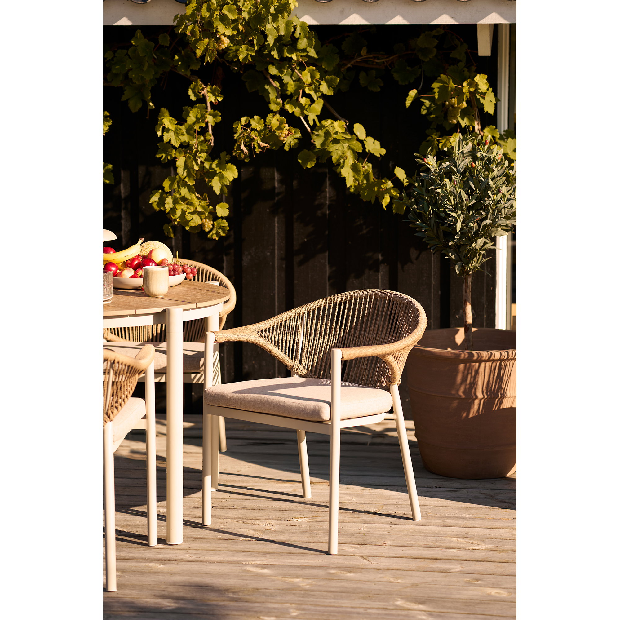 Abela Dining Chair