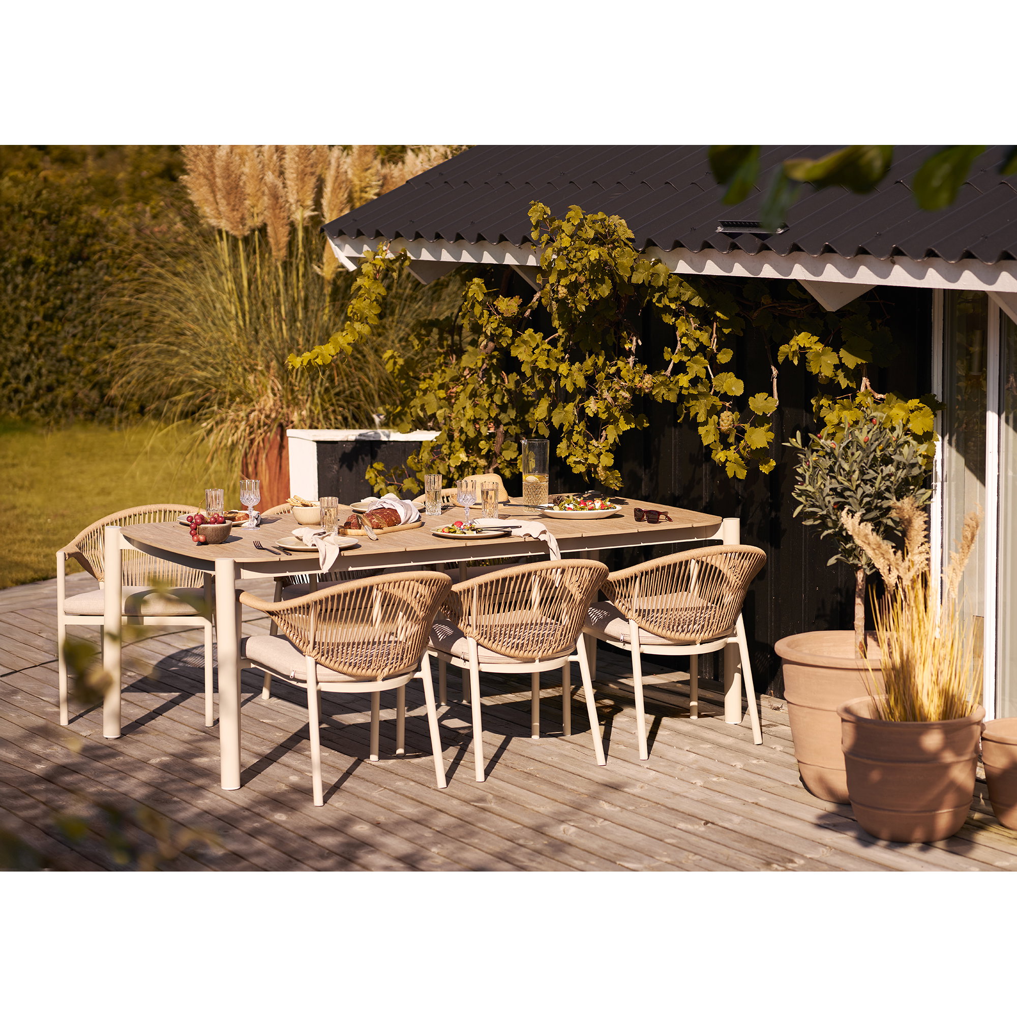 Abela Dining Chair