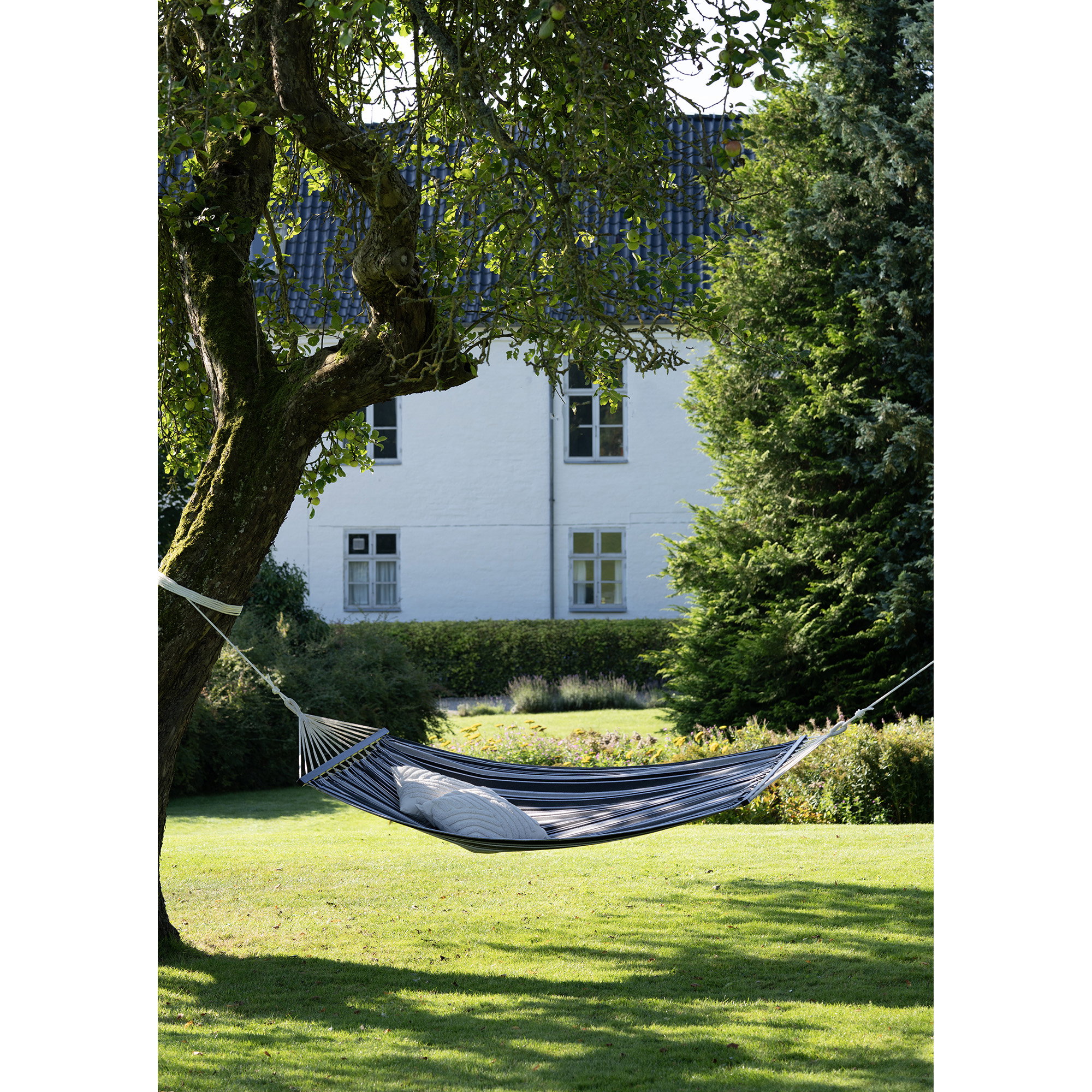 Lamia Hammock