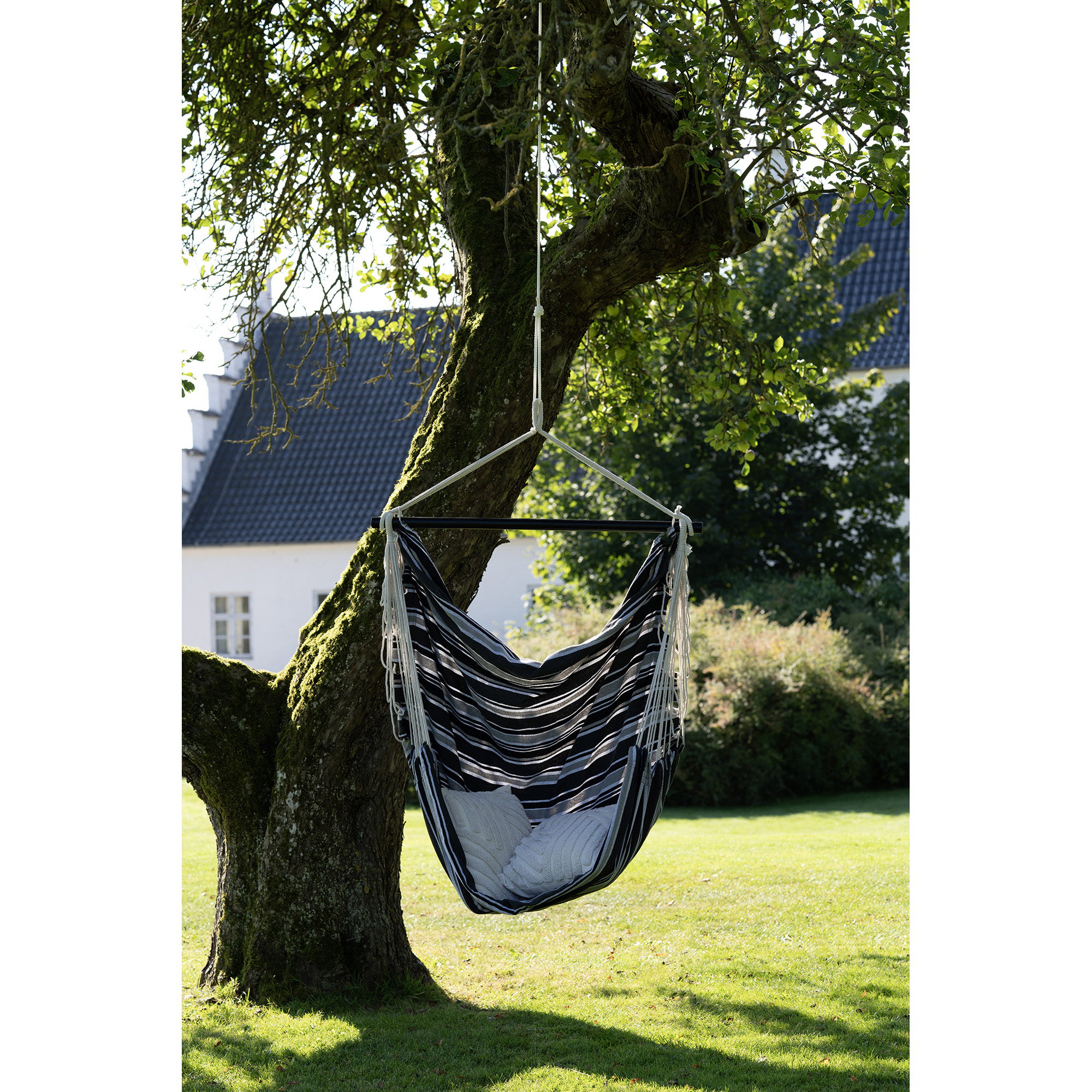 Lamia Hammock Chair