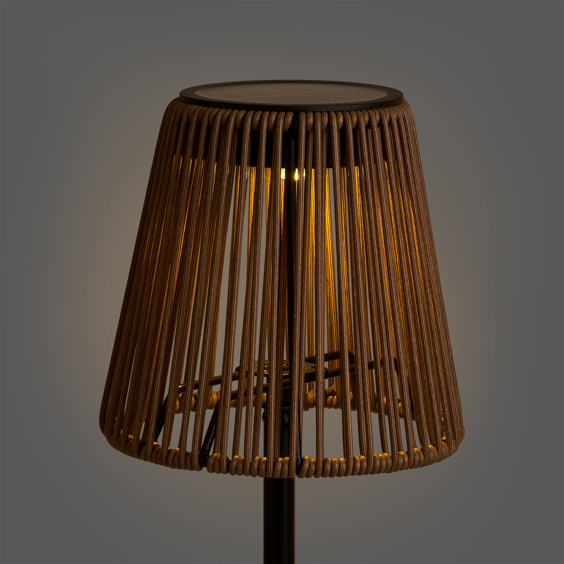 Salford Lamp