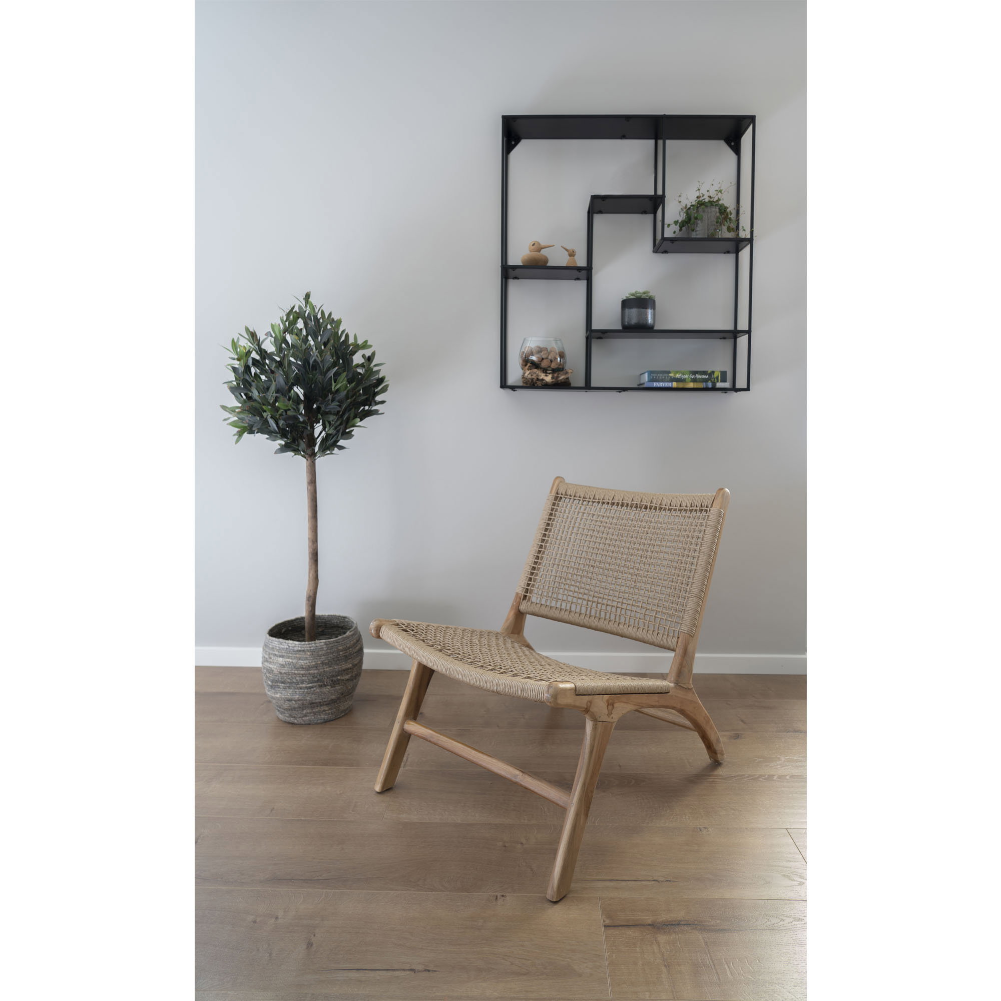 Olive Tree