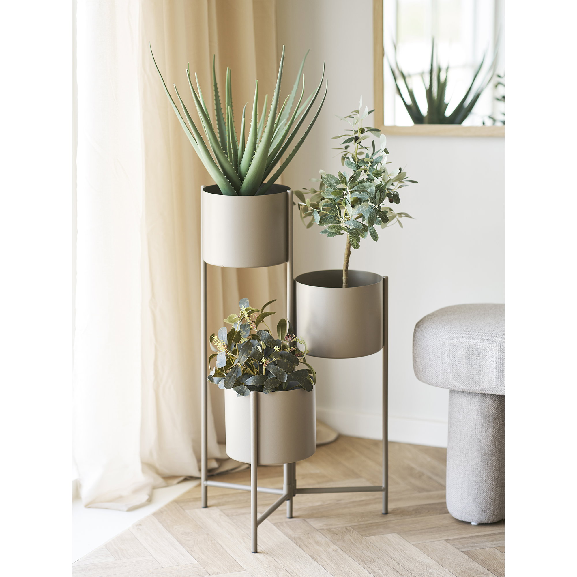 Plant