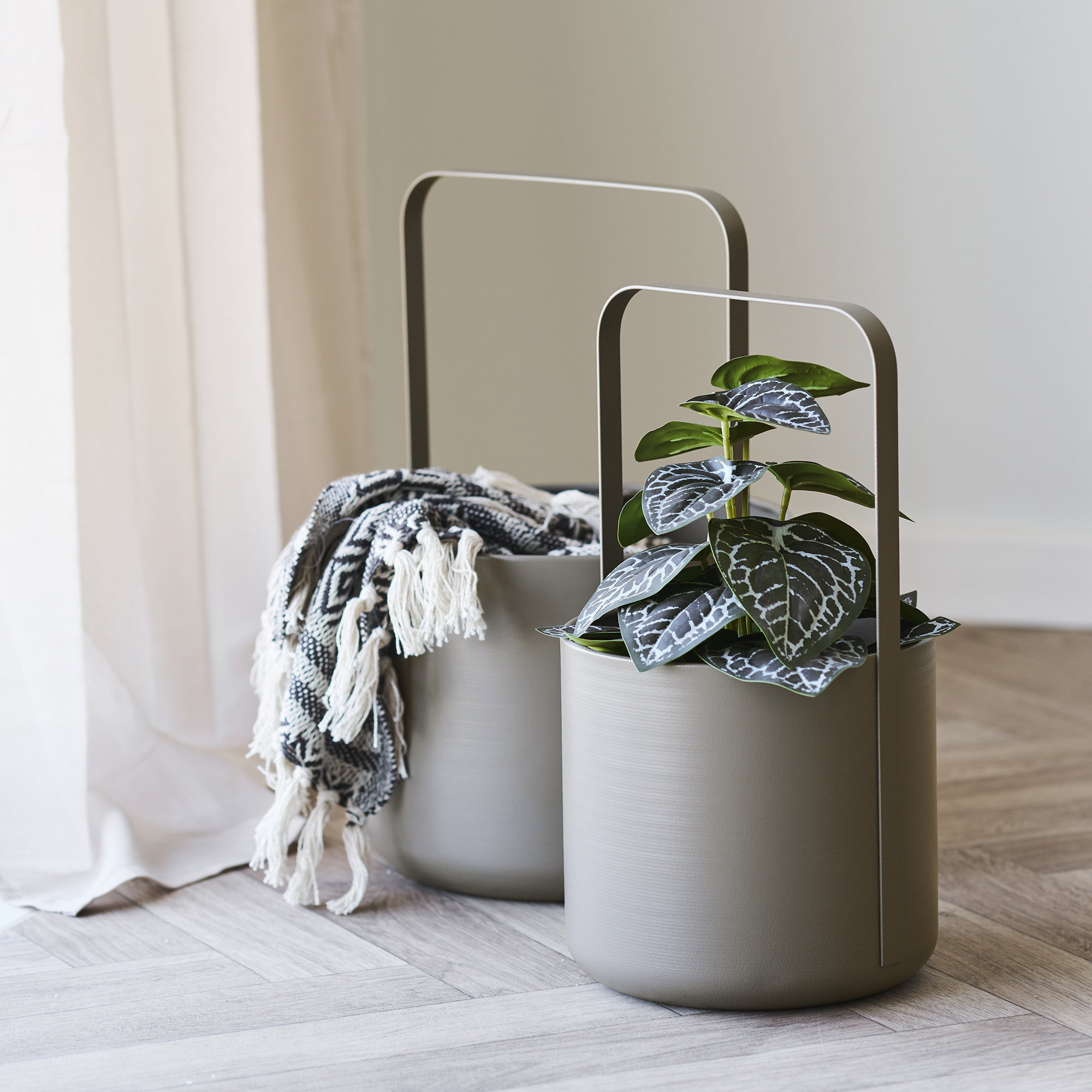 Plant