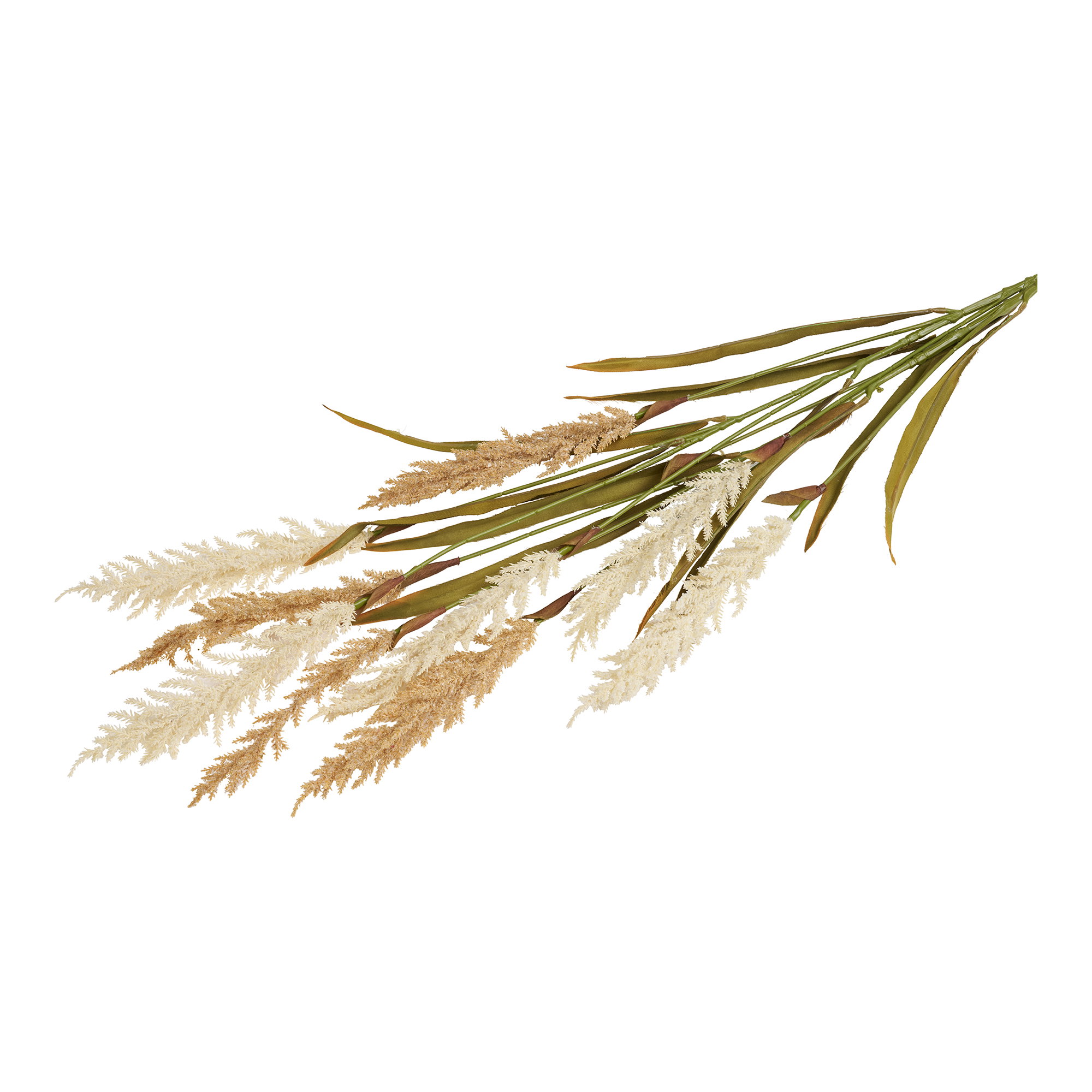 Decorative Grass