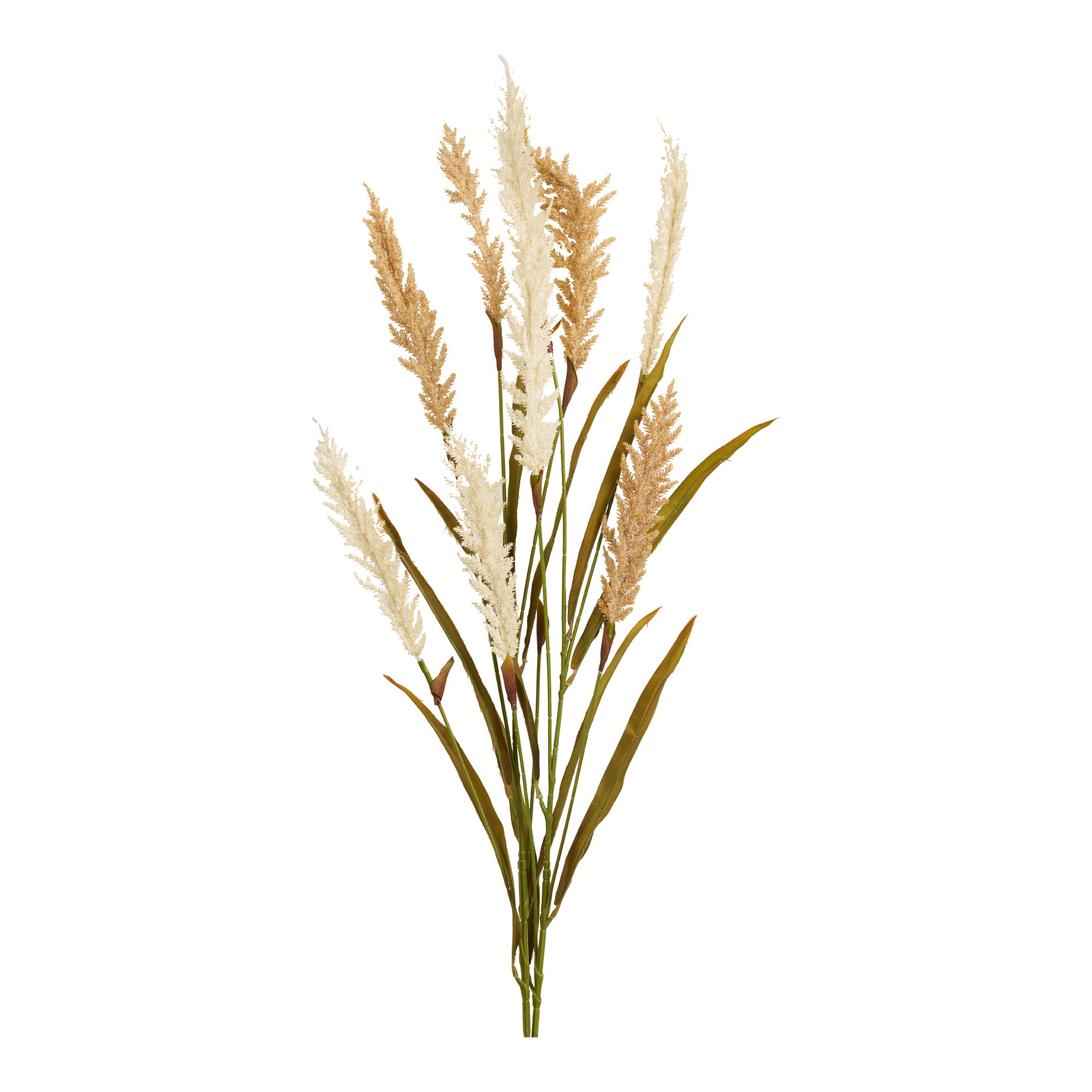 Decorative Grass