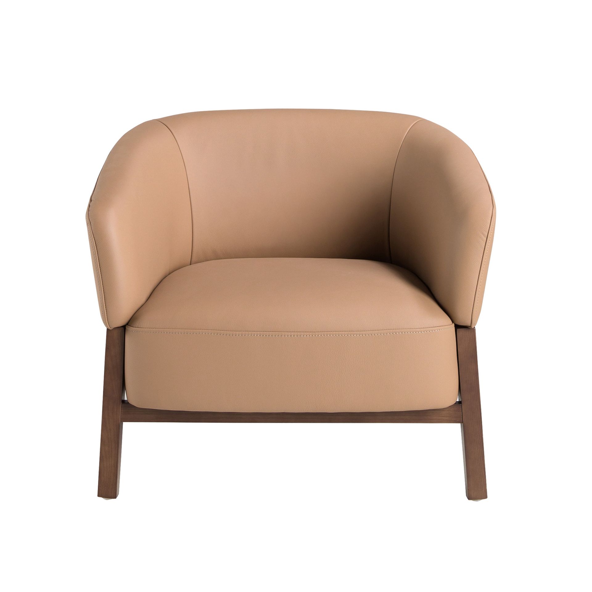 Brown leather armchair
