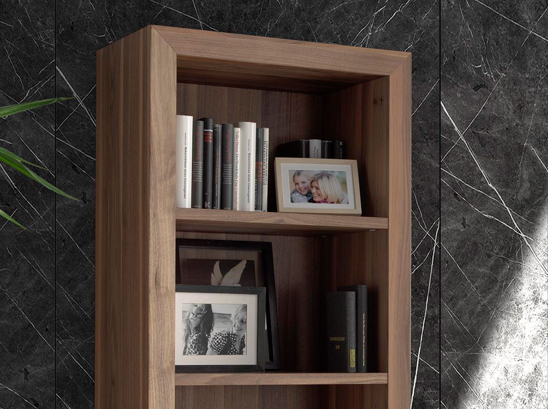 Walnut wooden shelf