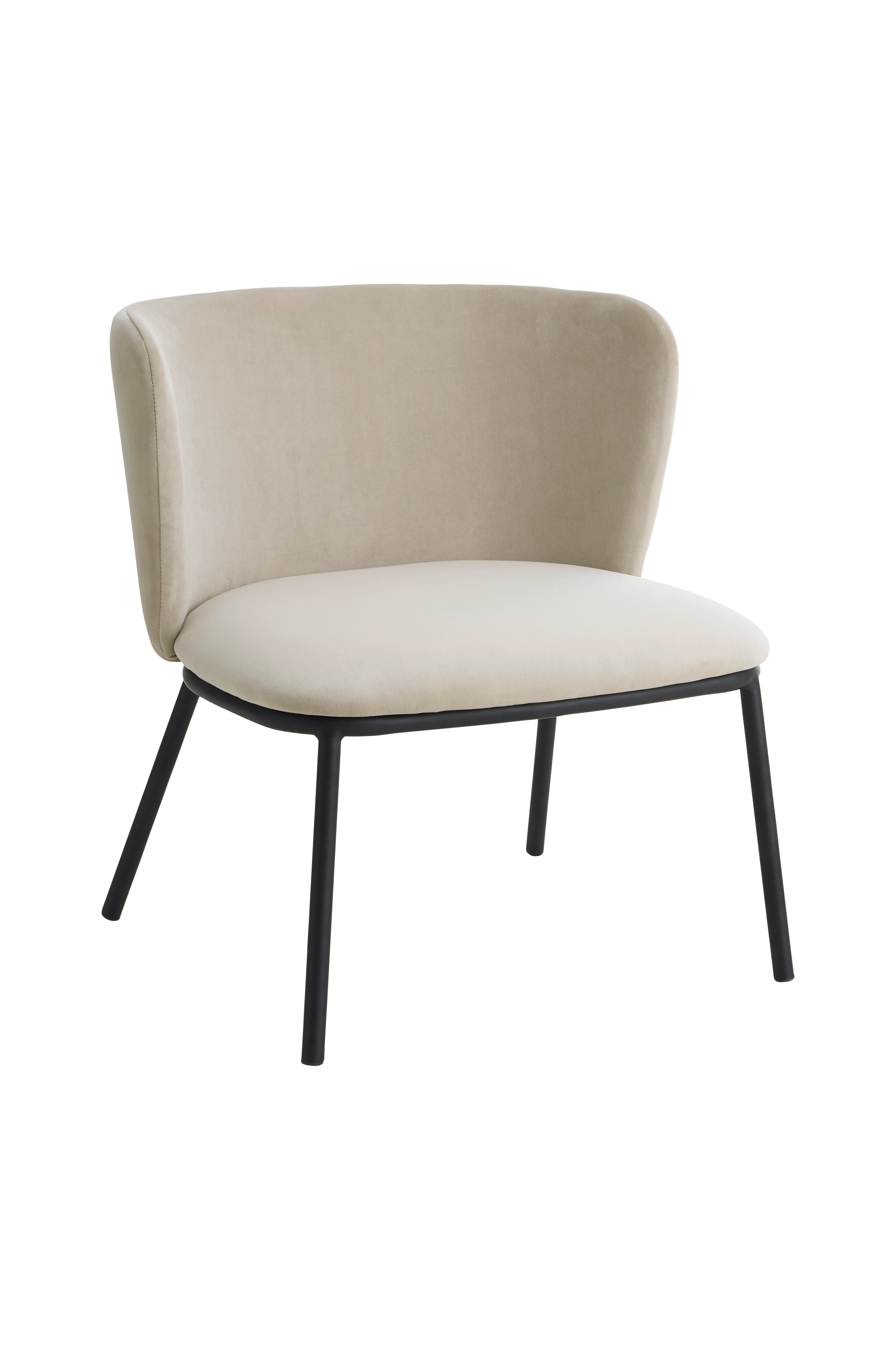 Loungestol Pirri