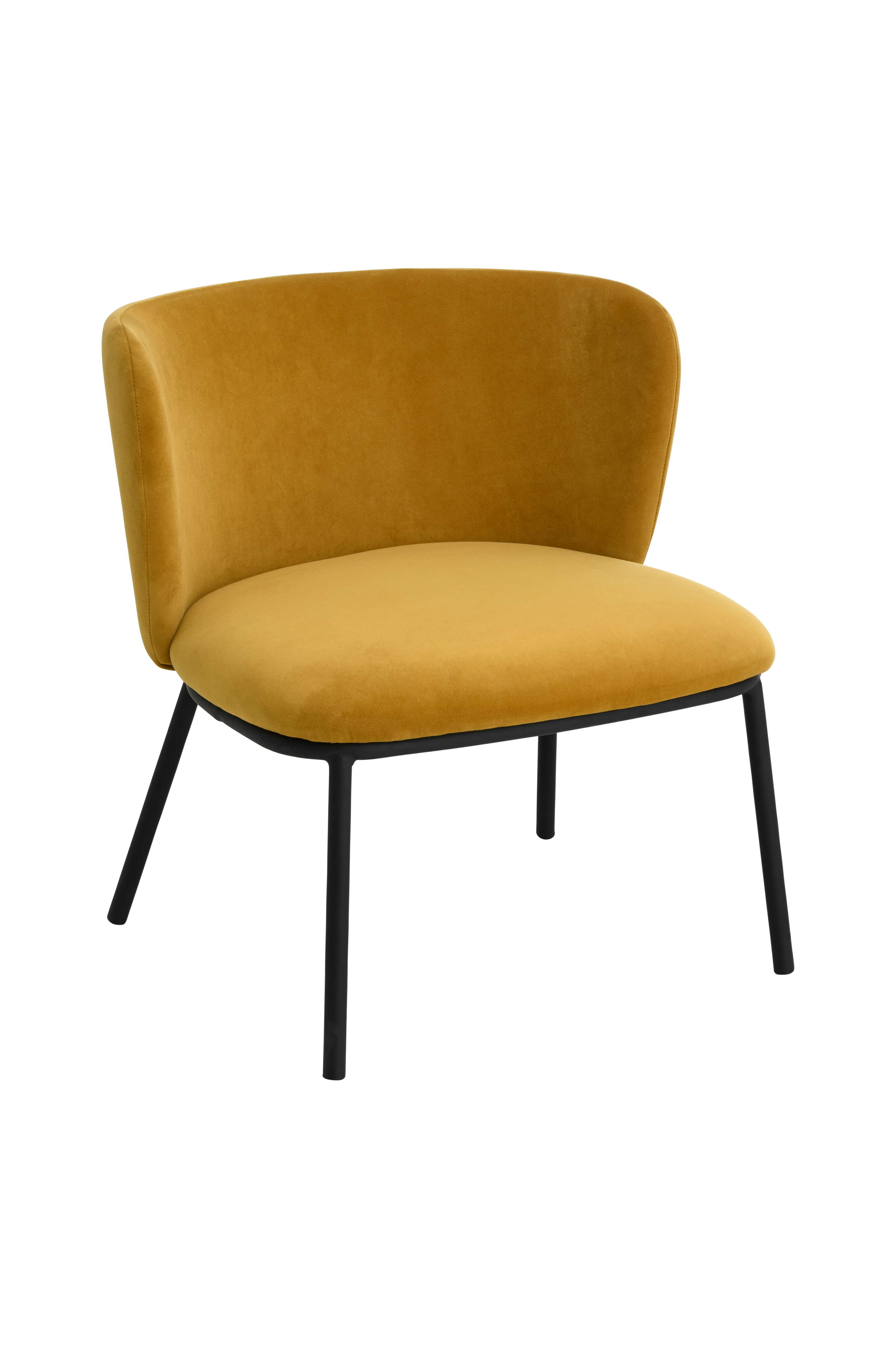 Loungestol Pirri