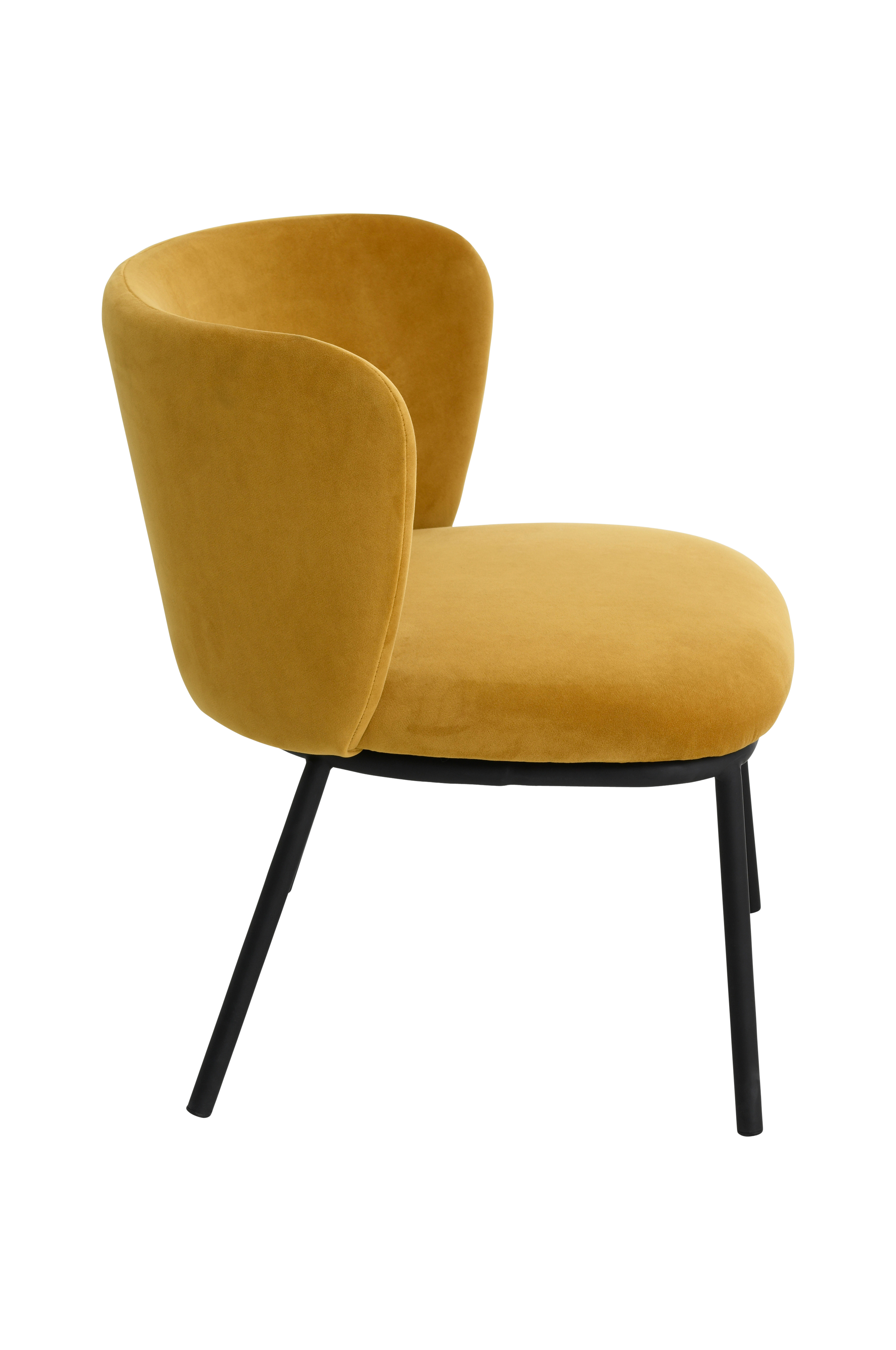 Loungestol Pirri