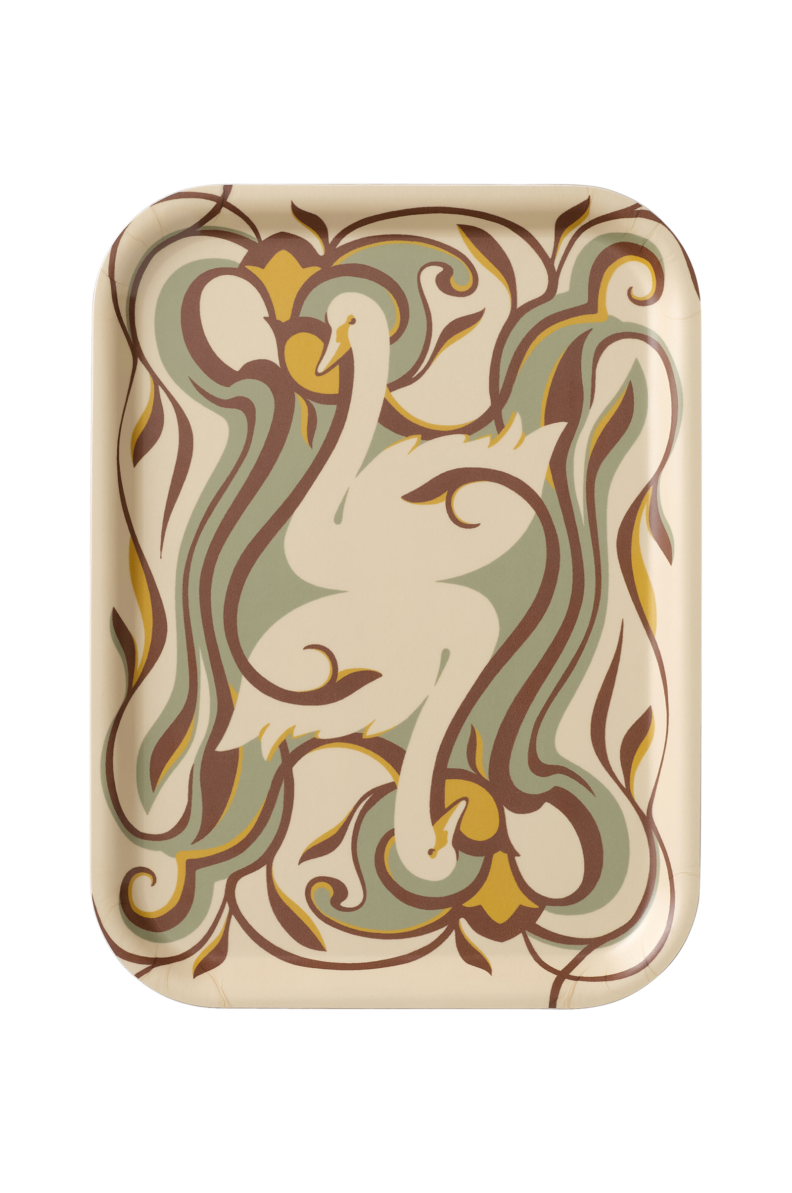 Brett Swan 27x20 cm