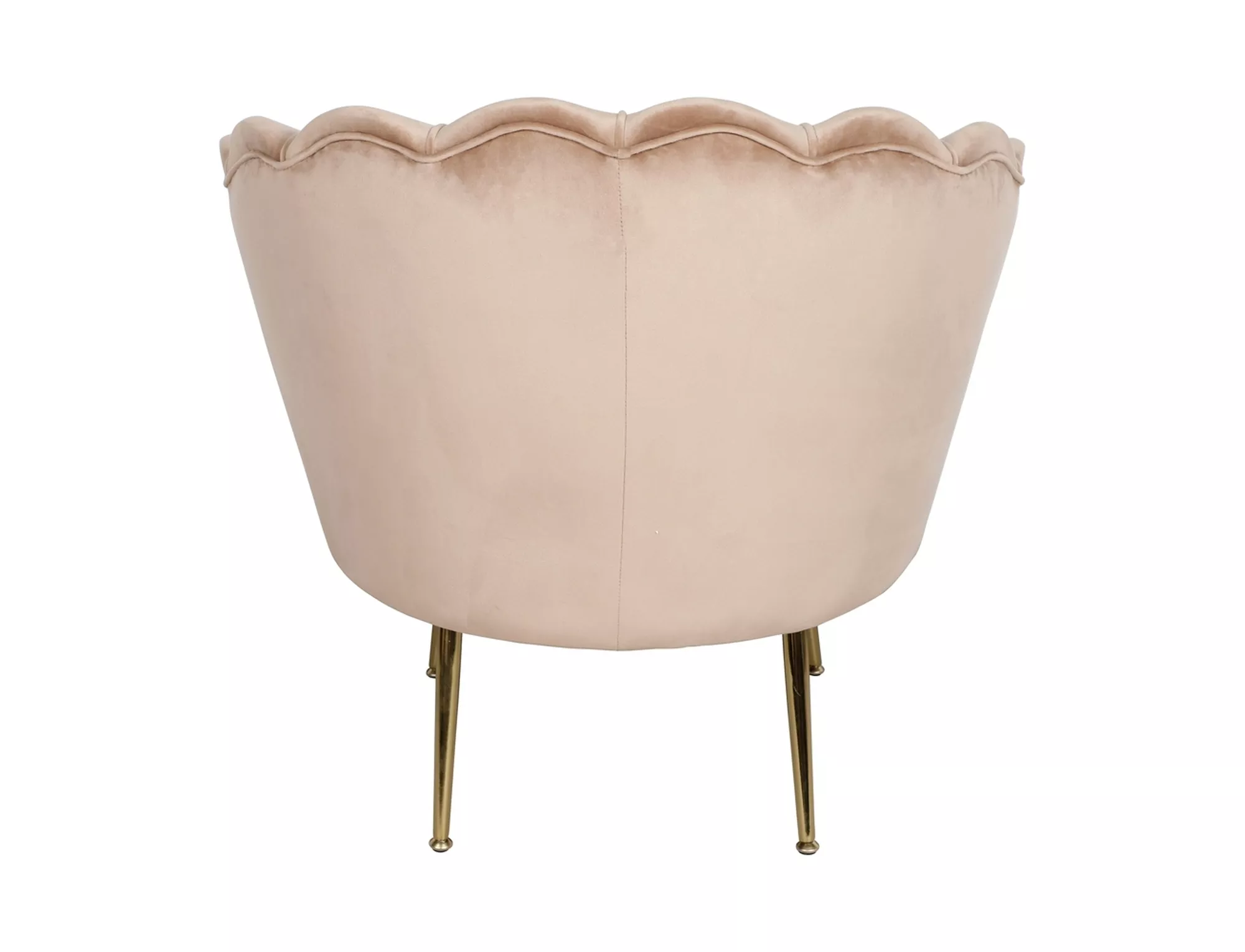 Fotel Camellia 1 Velvet
