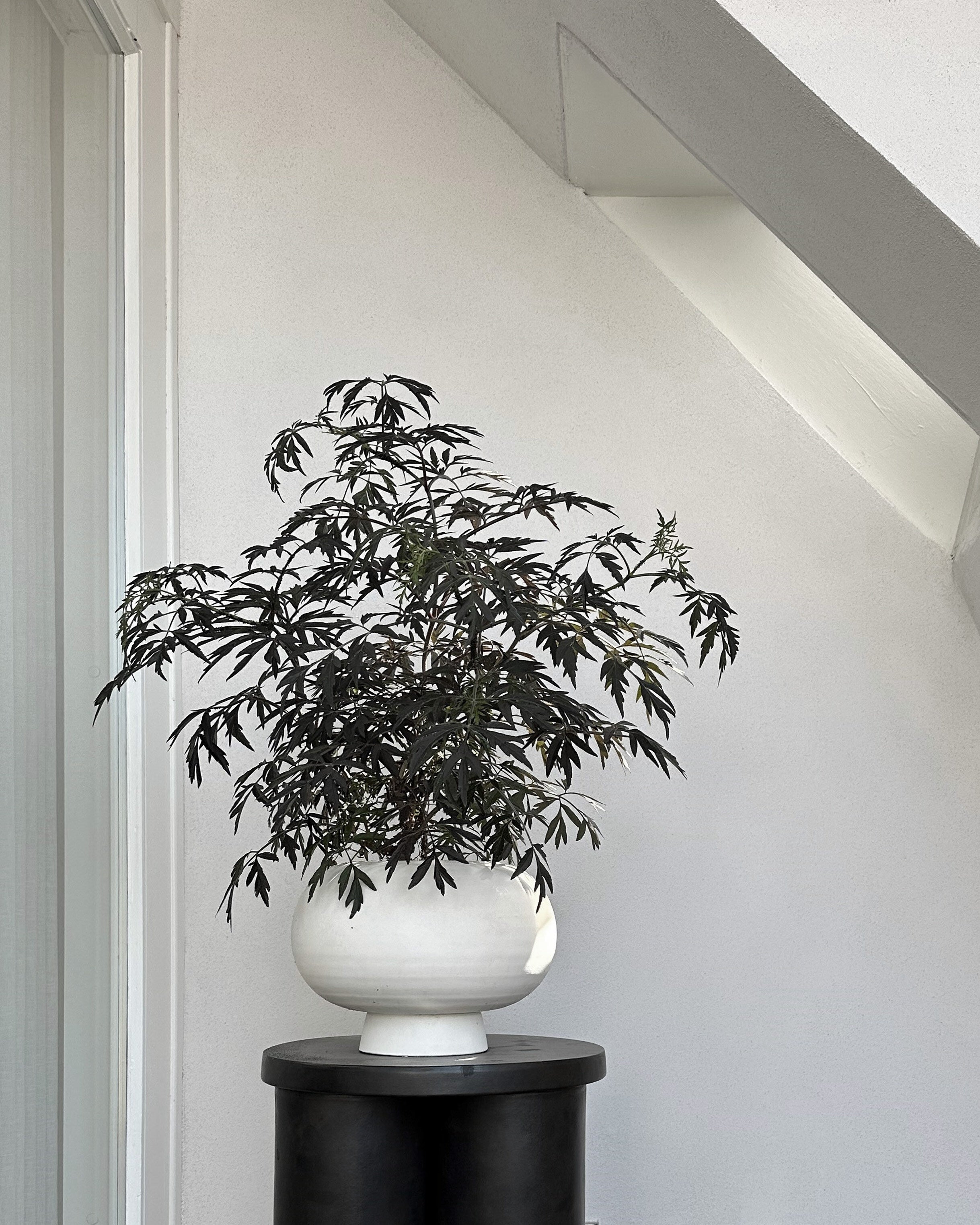 Kabin Vase, Fat - Bone White