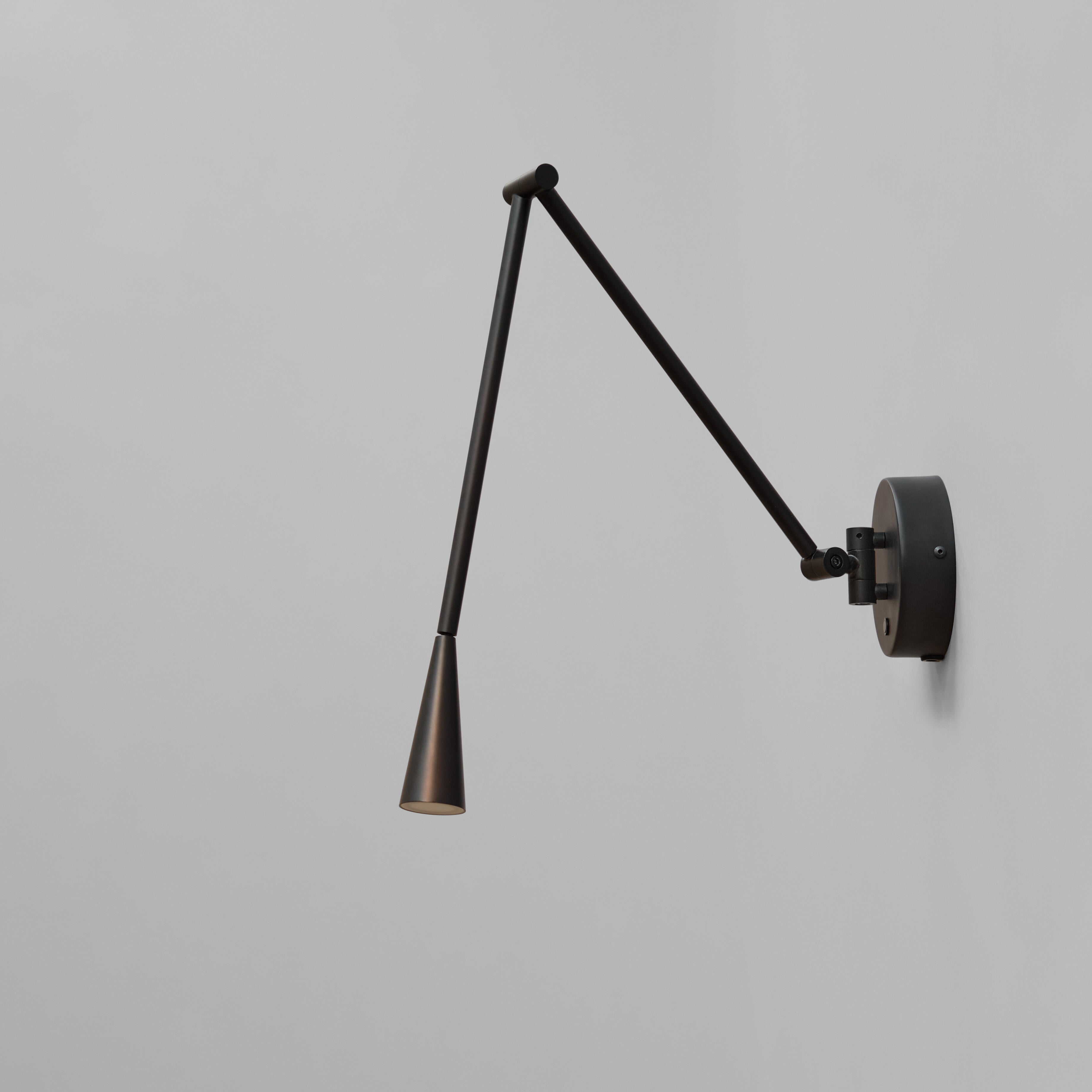 Snake Wall Lamp - Burned Black