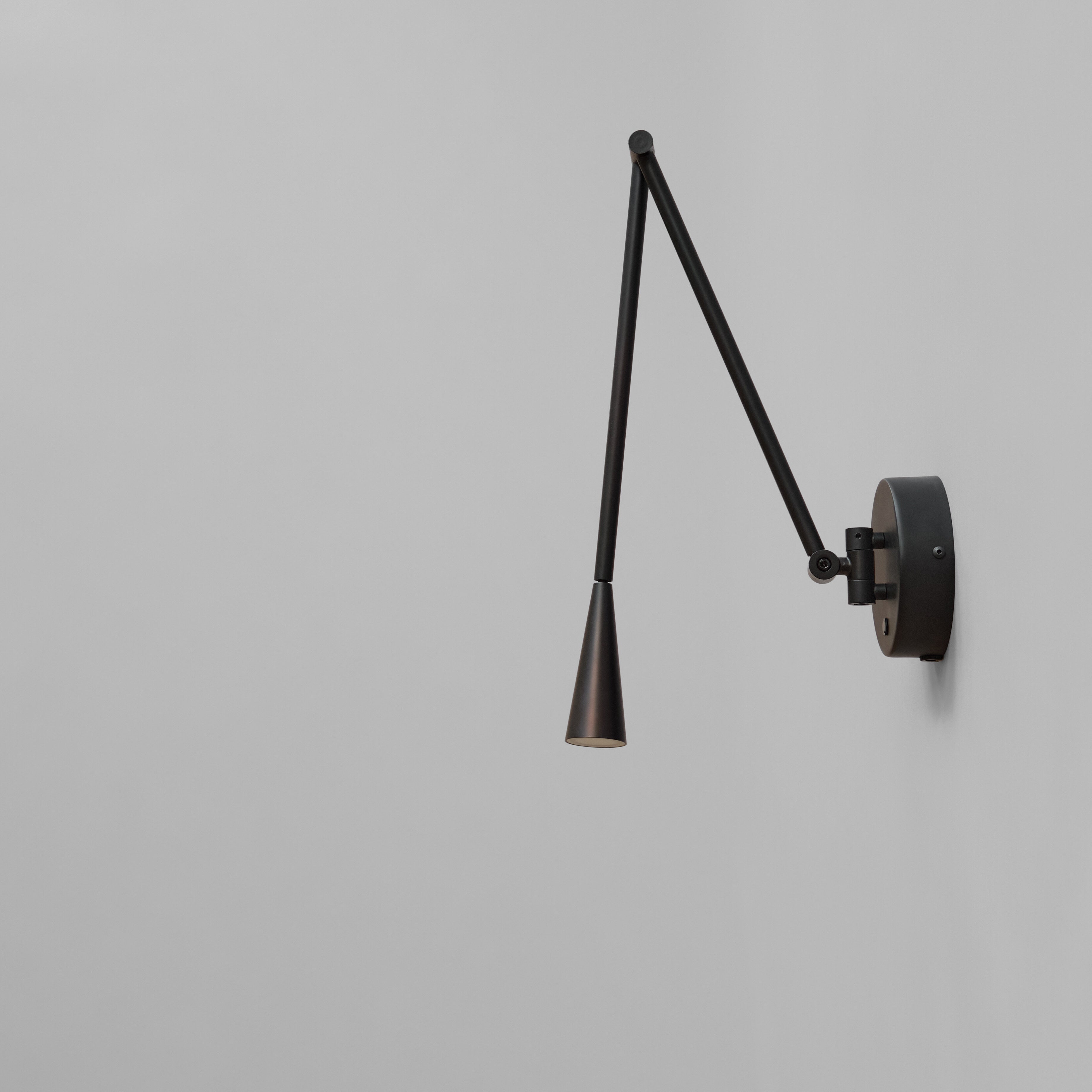 Snake Wall Lamp - Burned Black