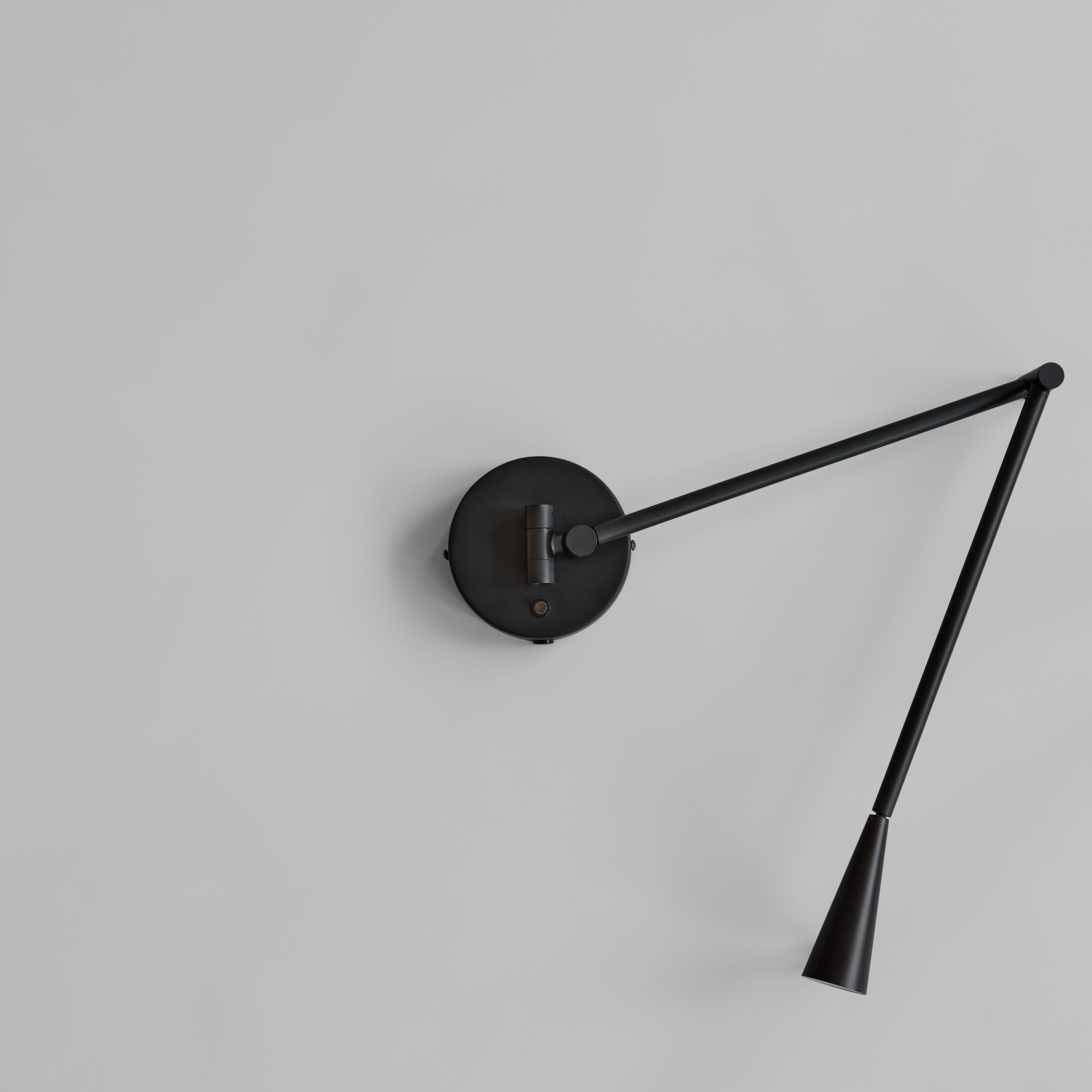 Snake Wall Lamp - Burned Black