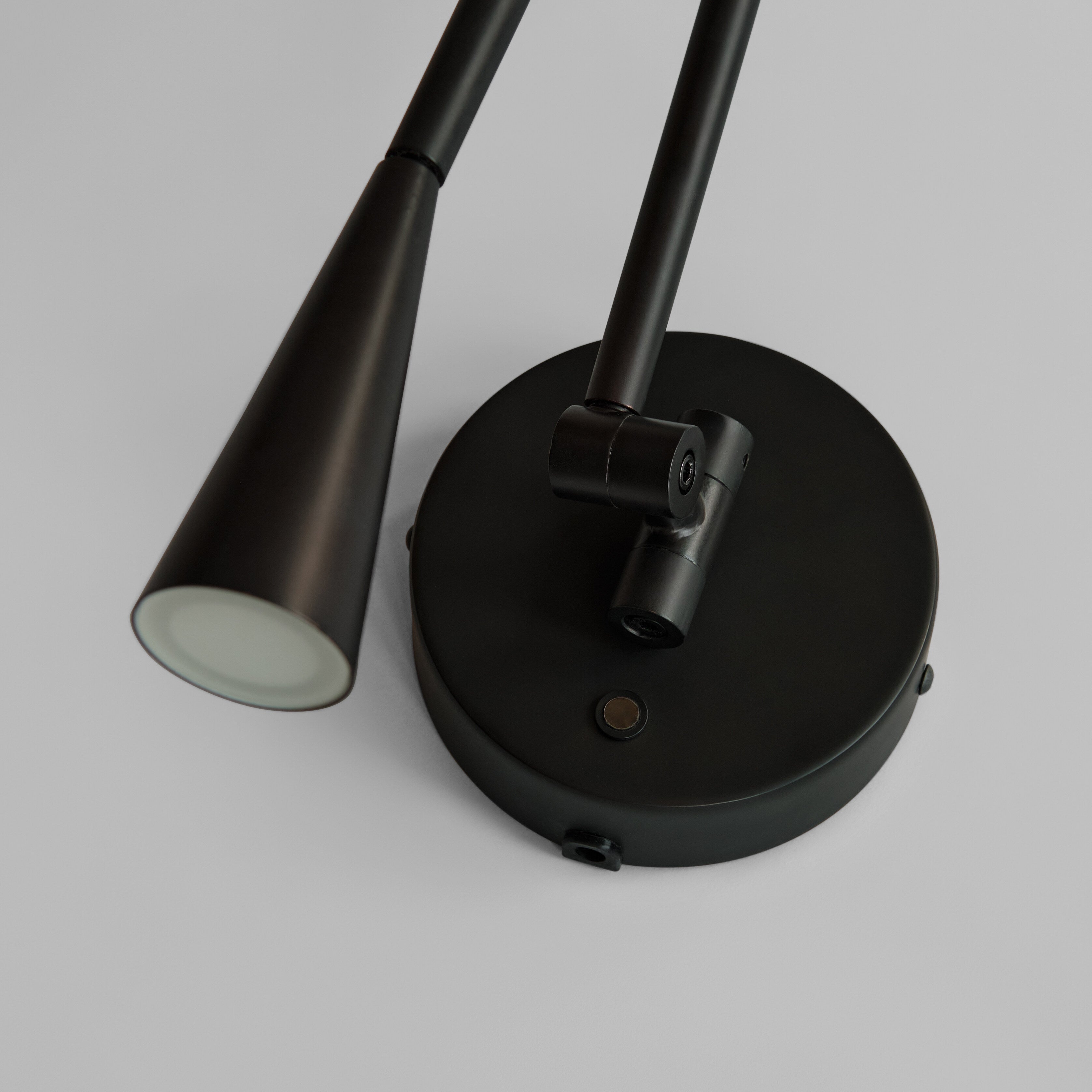 Snake Wall Lamp - Burned Black