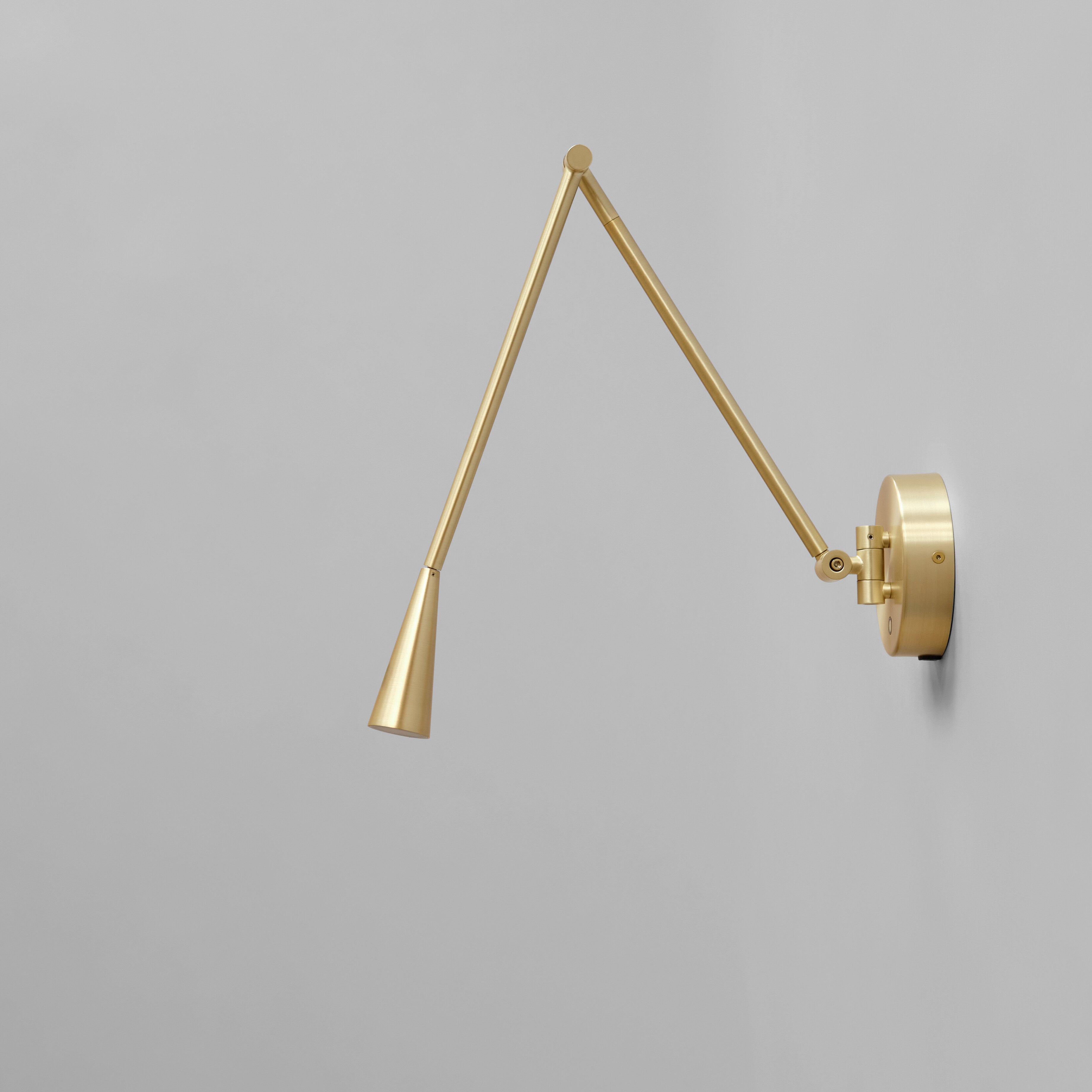 Snake Wall Lamp - Brass