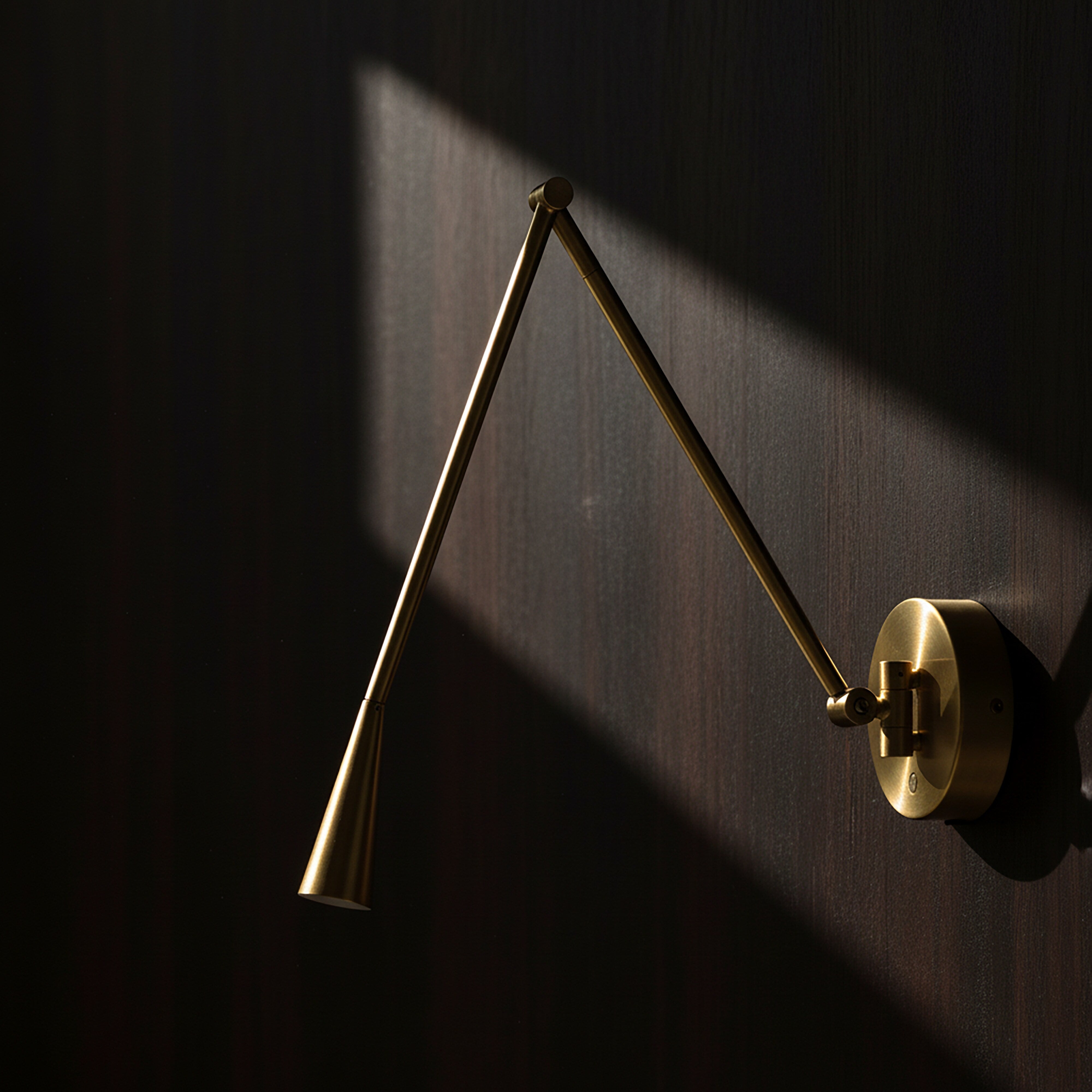 Snake Wall Lamp - Brass